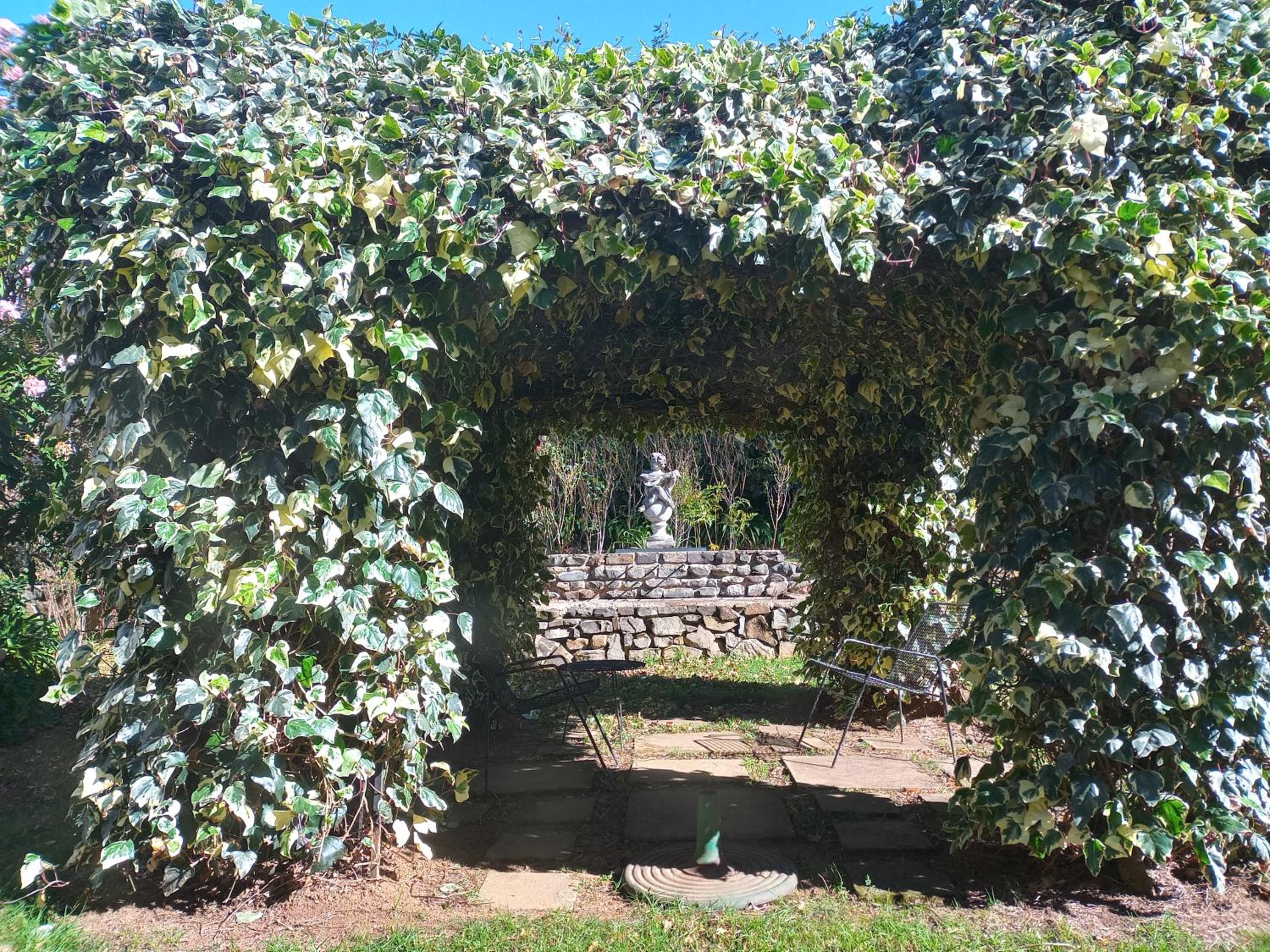 Photo 25