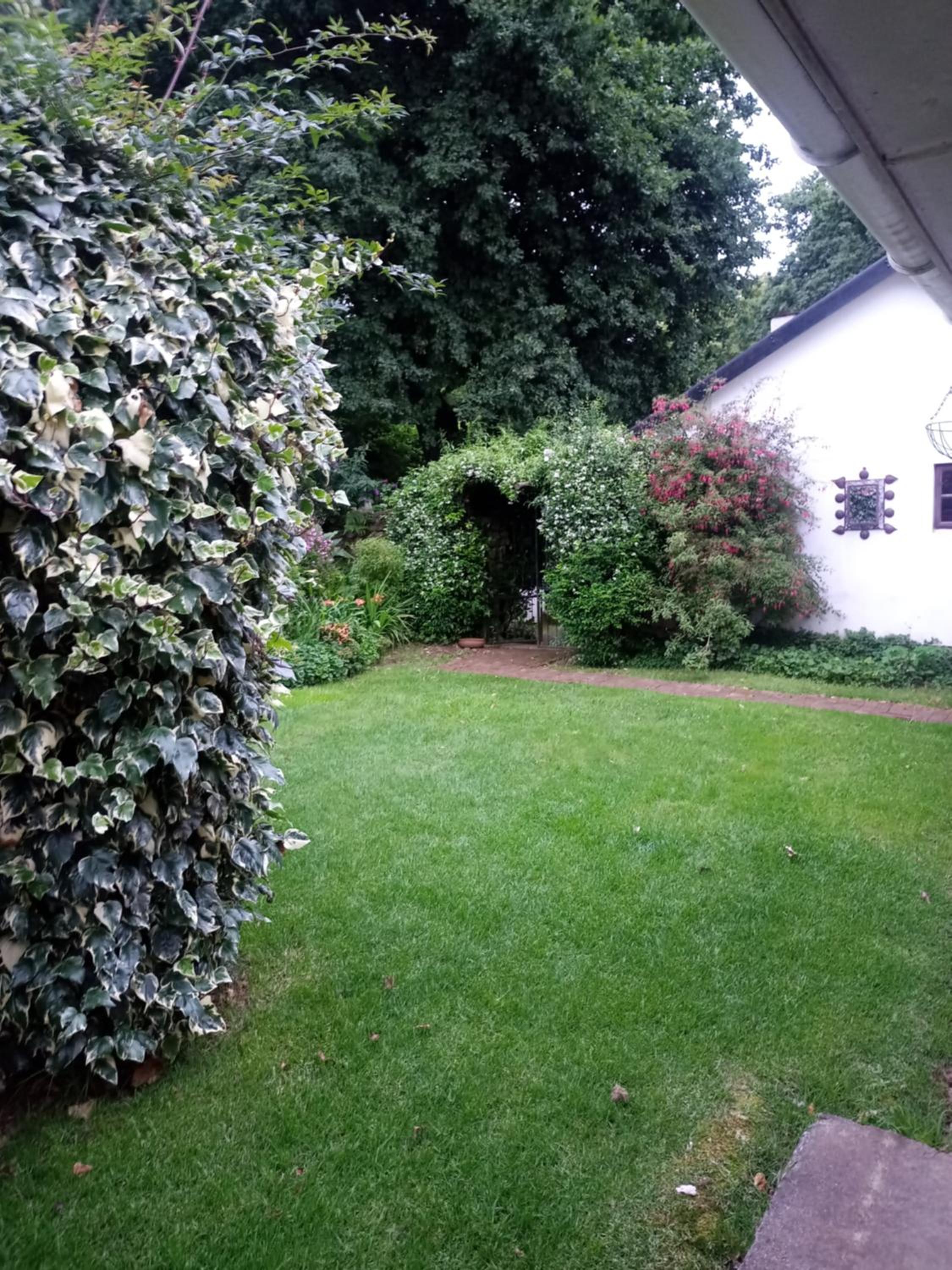 Photo 29