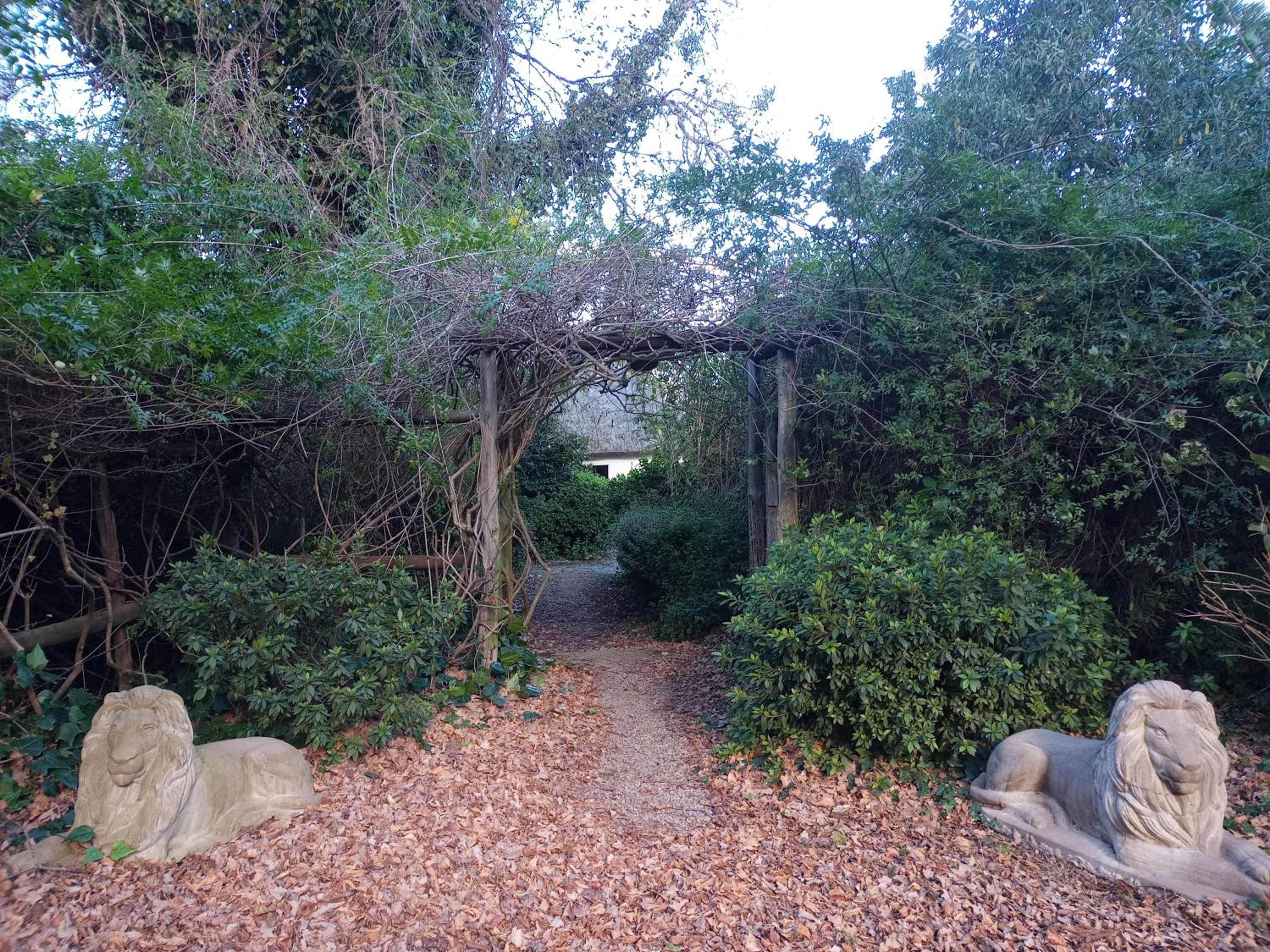 Photo 40
