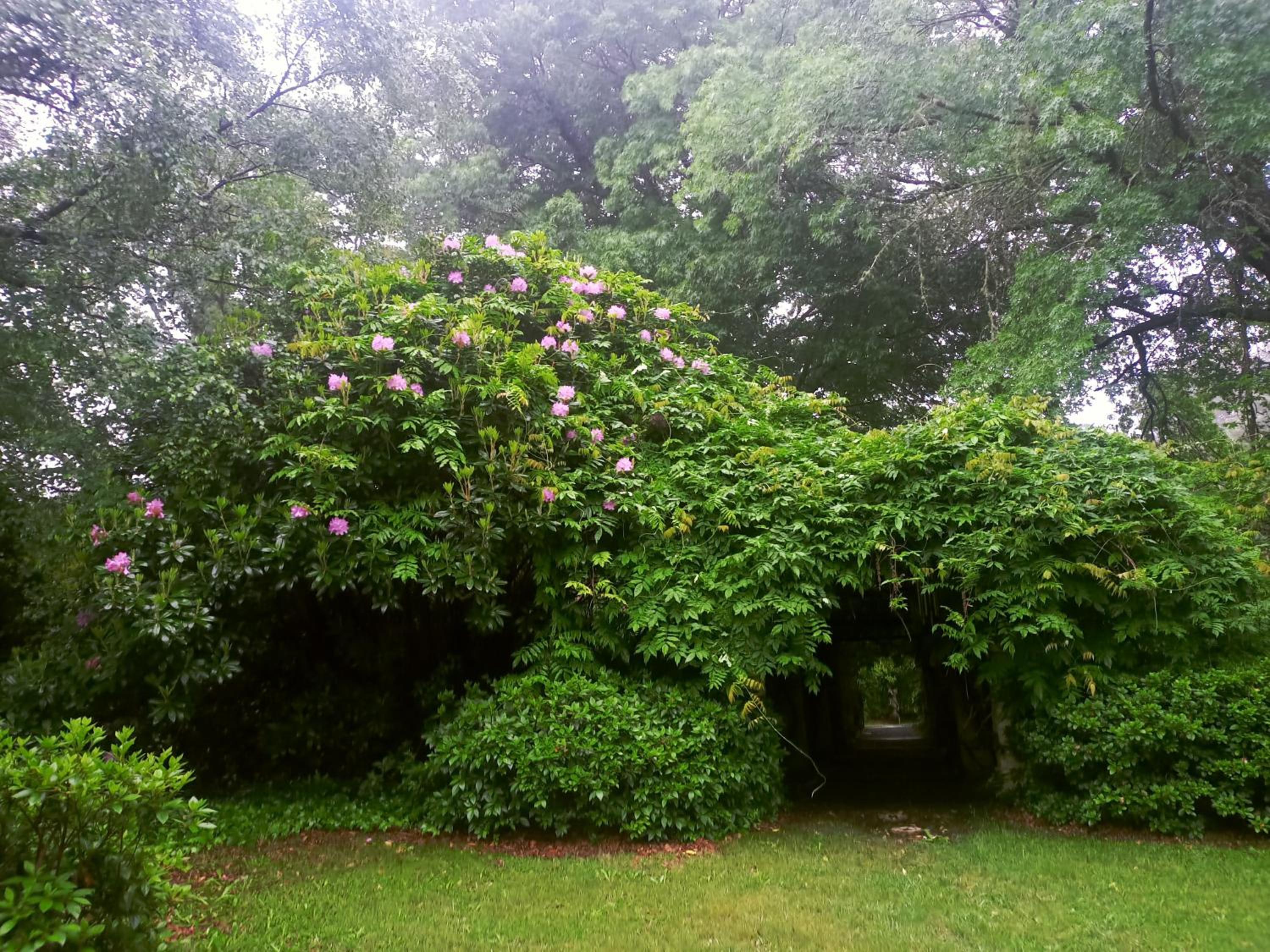 Nutwoods Park view 2
