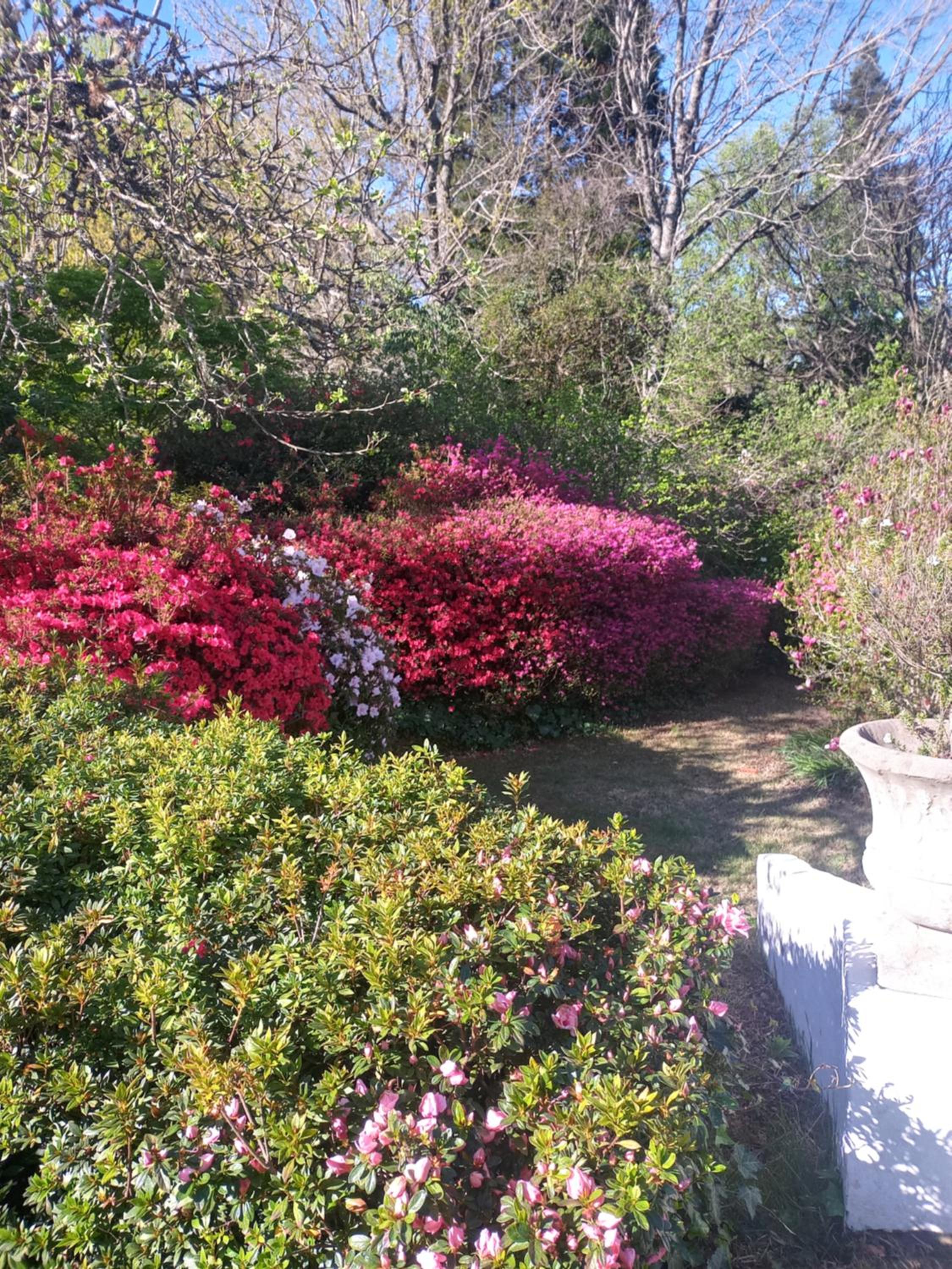 Nutwoods Park view 3