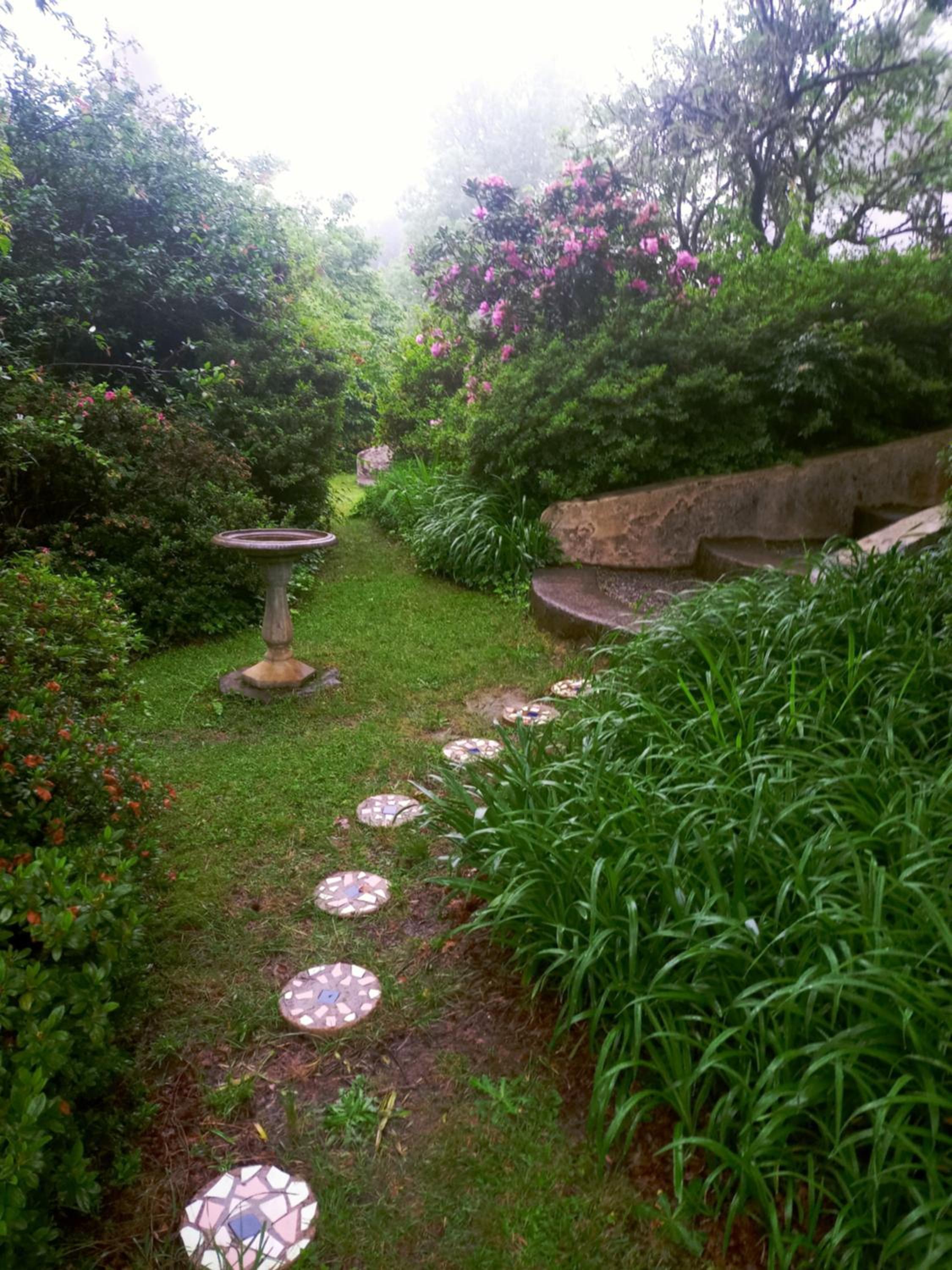 Photo 11