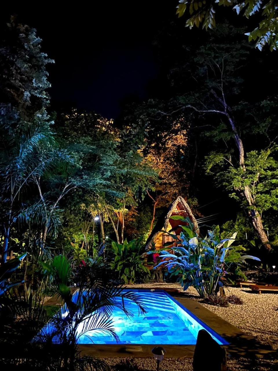 Cabinas de Lou Eco Lodge TAMARINDO