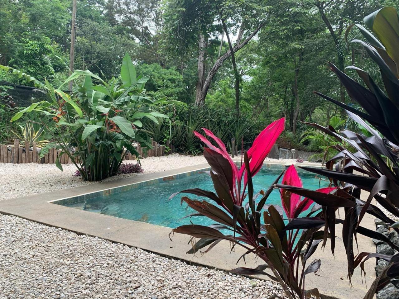 Cabinas de Lou Eco Lodge TAMARINDO