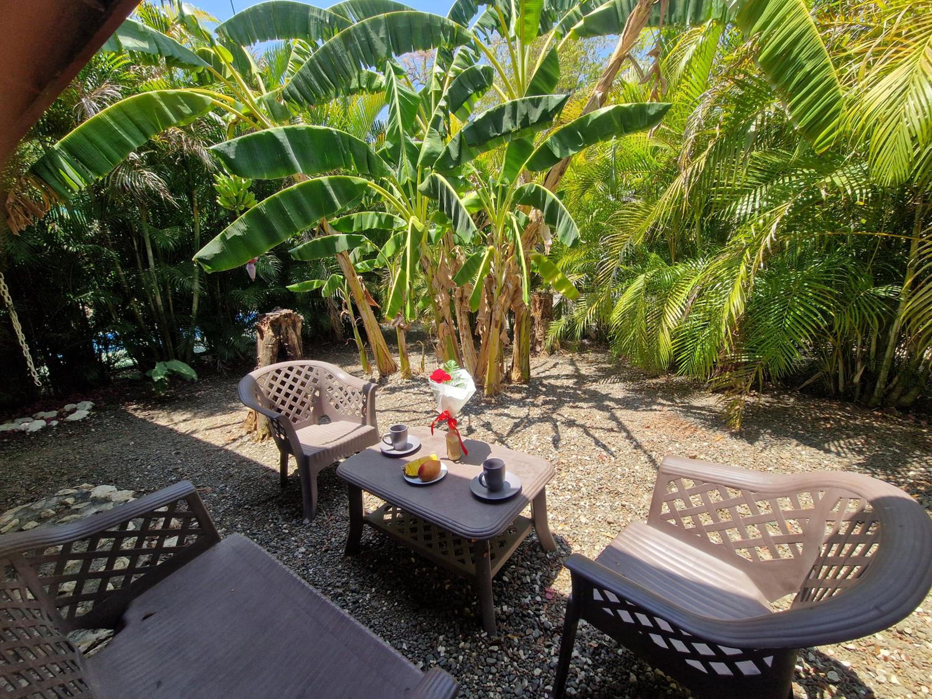 Villas jungle 5