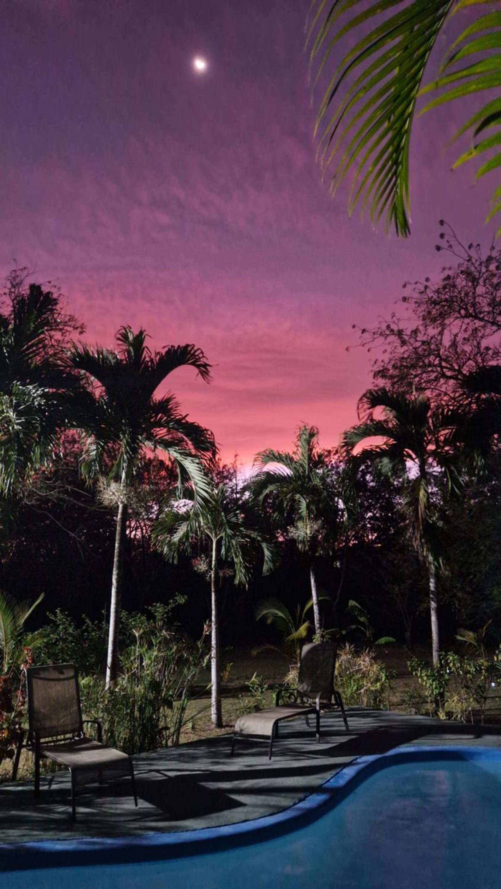 Villas jungle 5