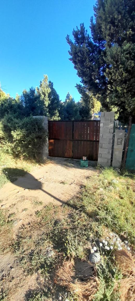 Cabaña del bosque