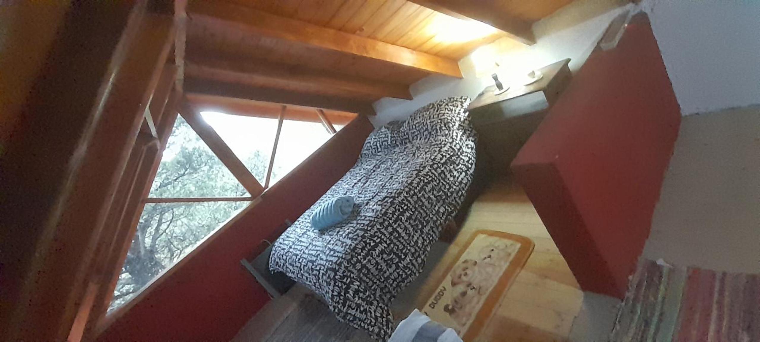 Cabaña del bosque