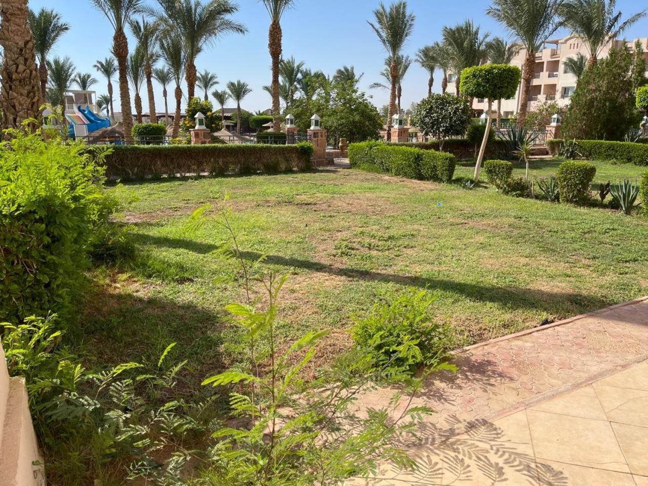 pyramisa E06 view 3