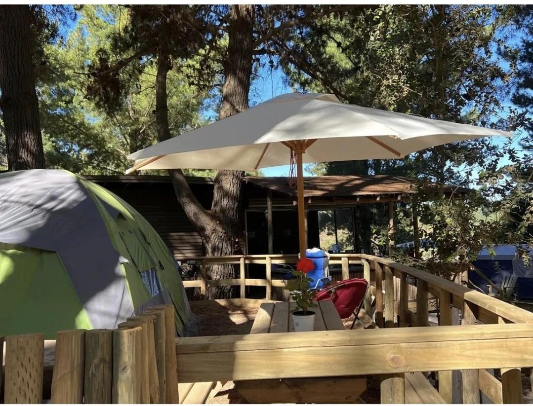 Glamping Puertecillo Surf & Camp