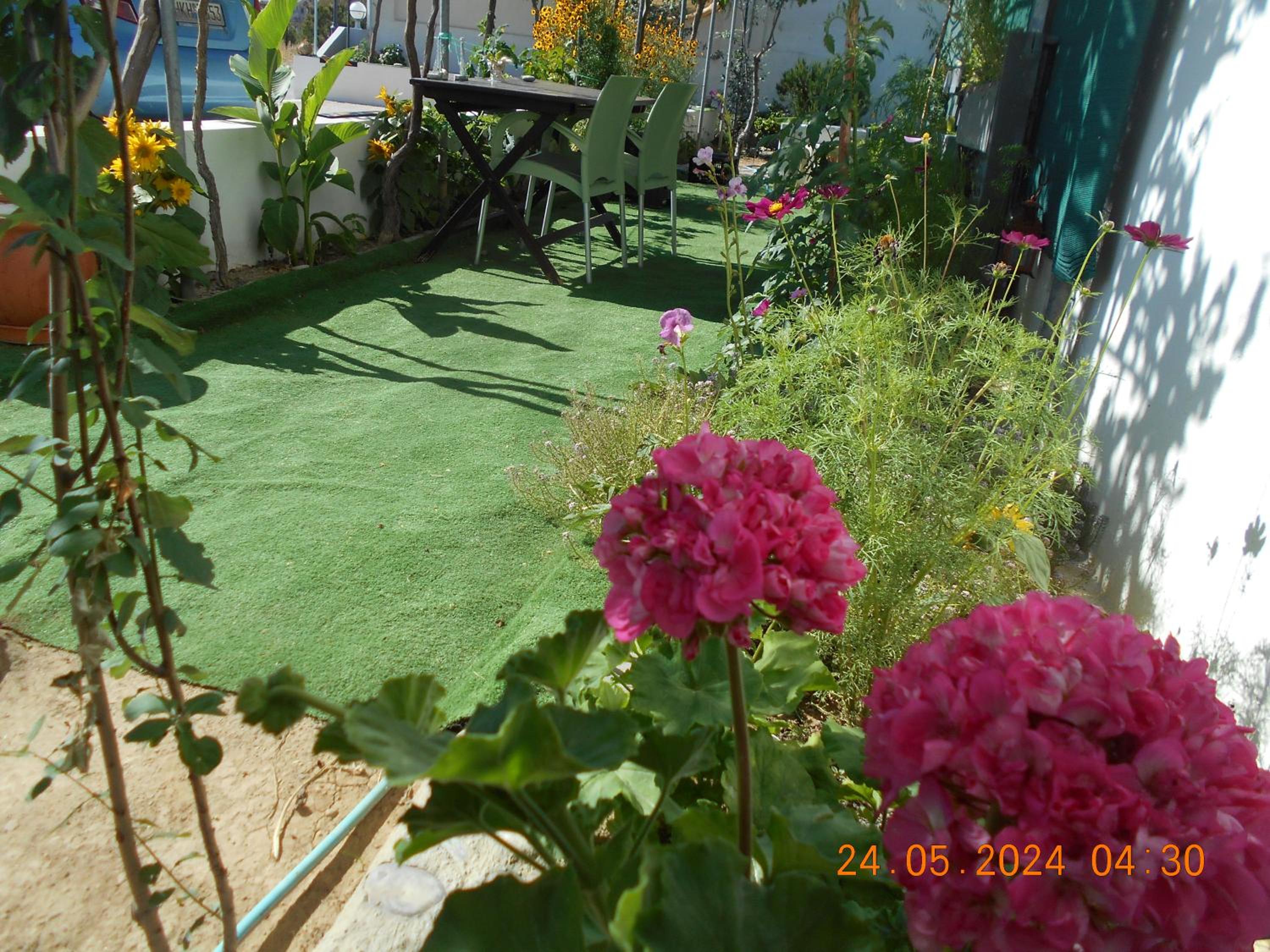 Garifalia Studios