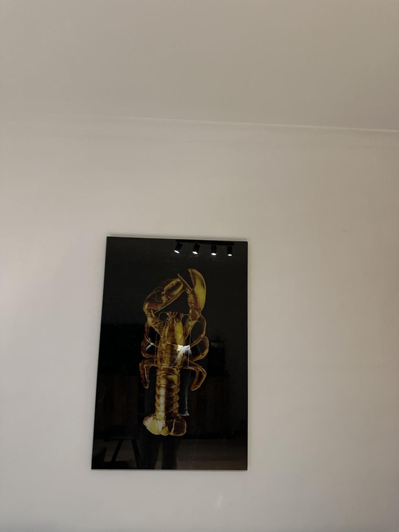 Appartement aan zee en stad, super locatie en volledig gerenoveerd!