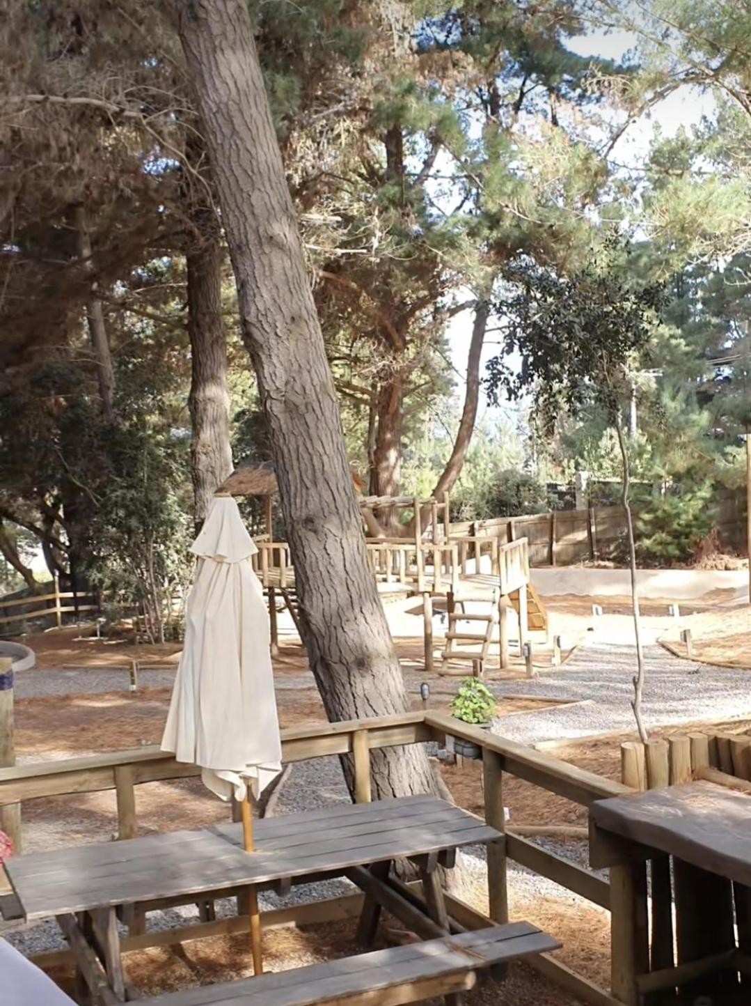 Glamping Puertecillo Surf & Camp