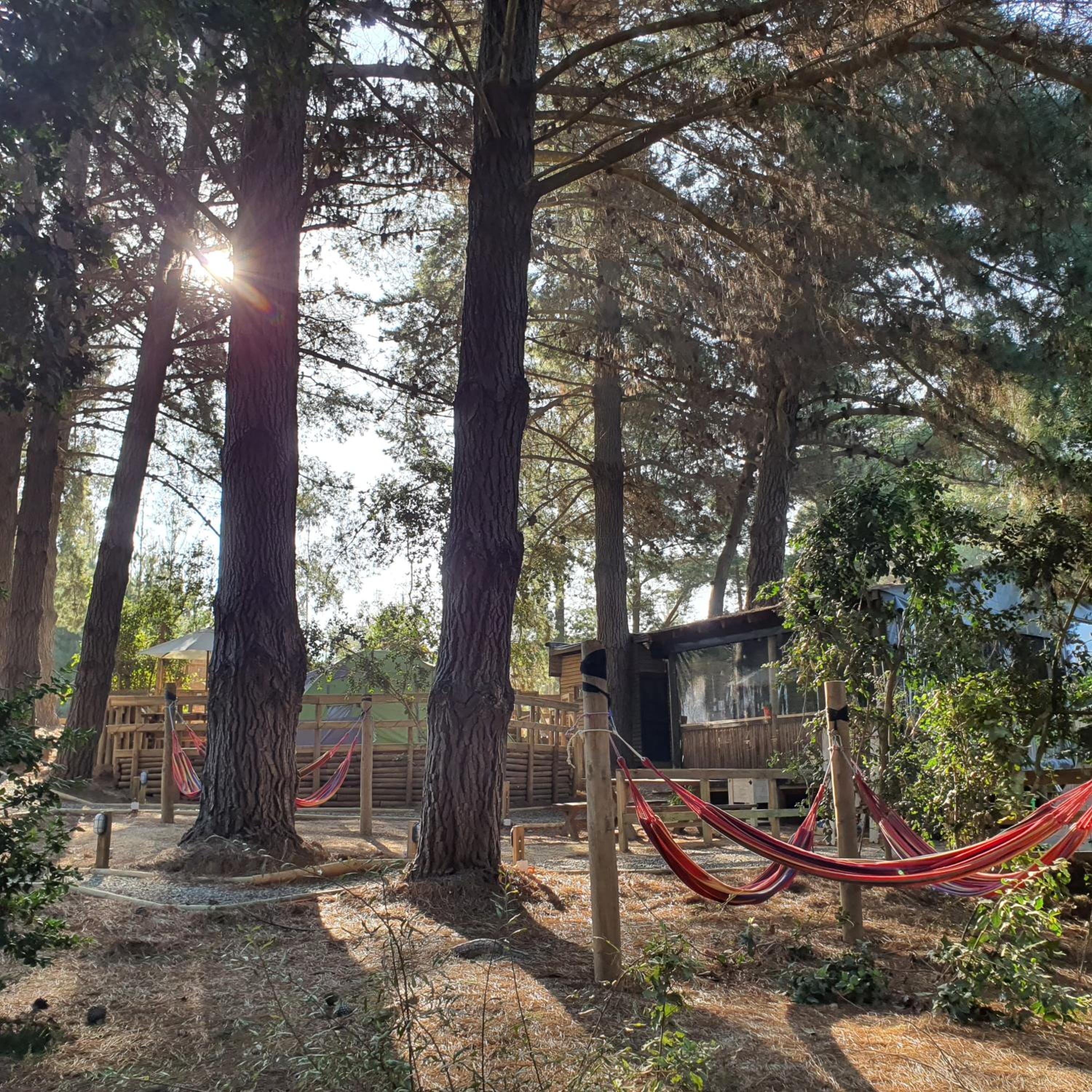 Glamping Puertecillo Surf & Camp