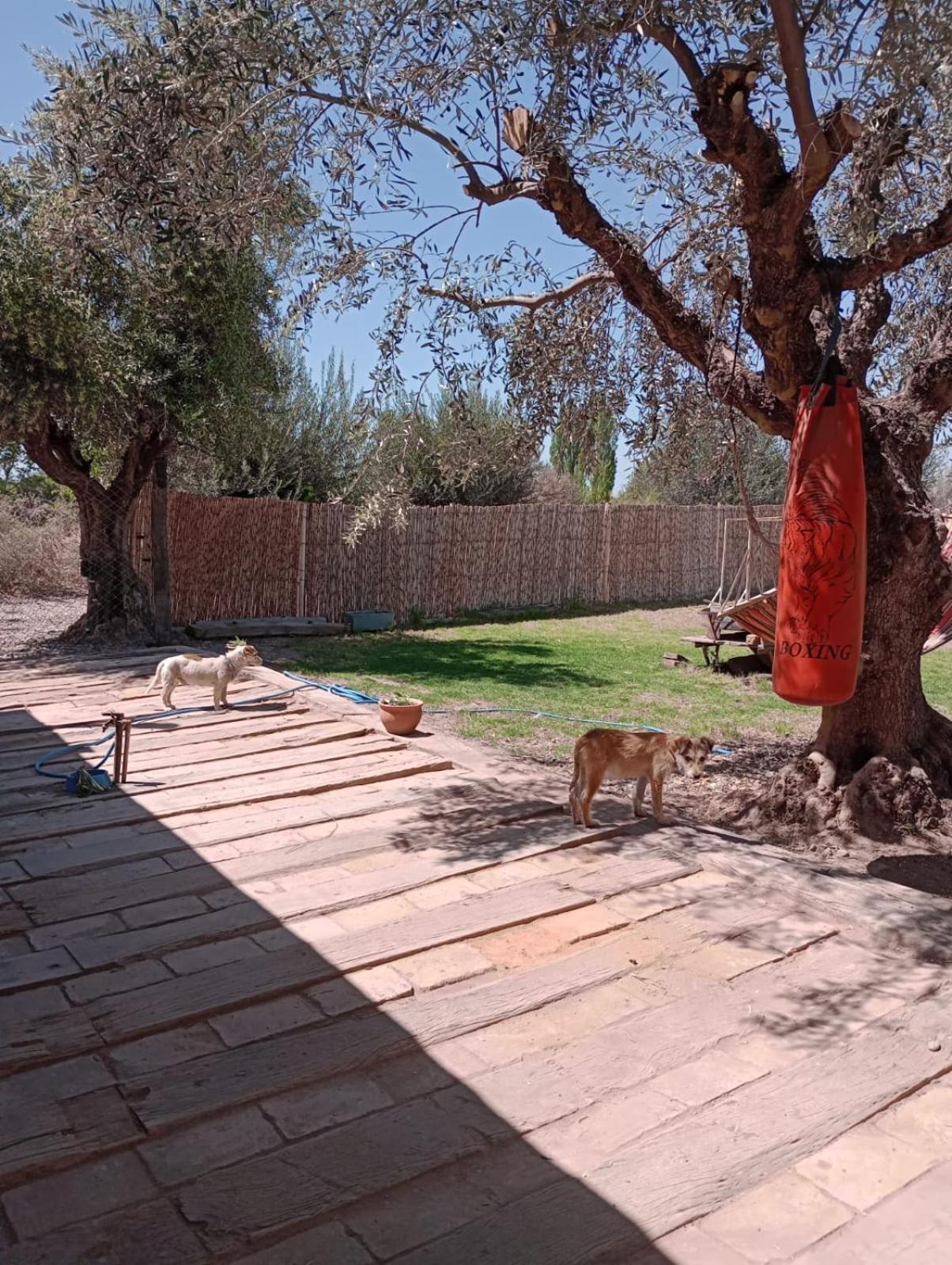 La Casona, chalet rural en finca con piscina JUNÍN DE MENDOZA