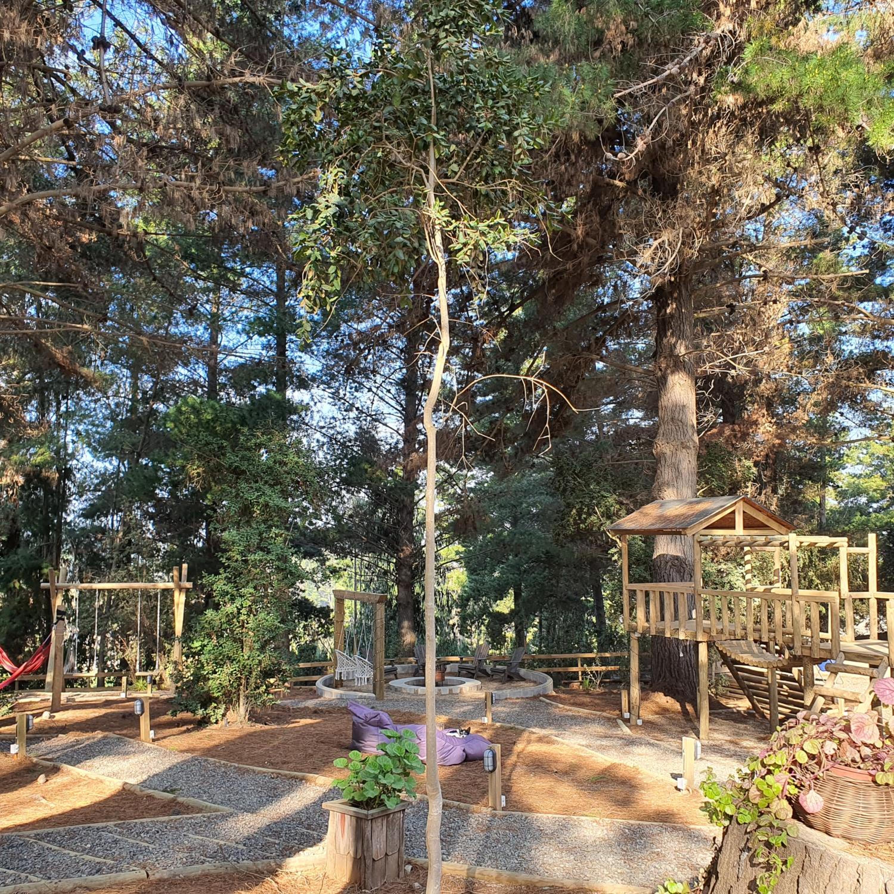 Glamping Puertecillo Surf & Camp