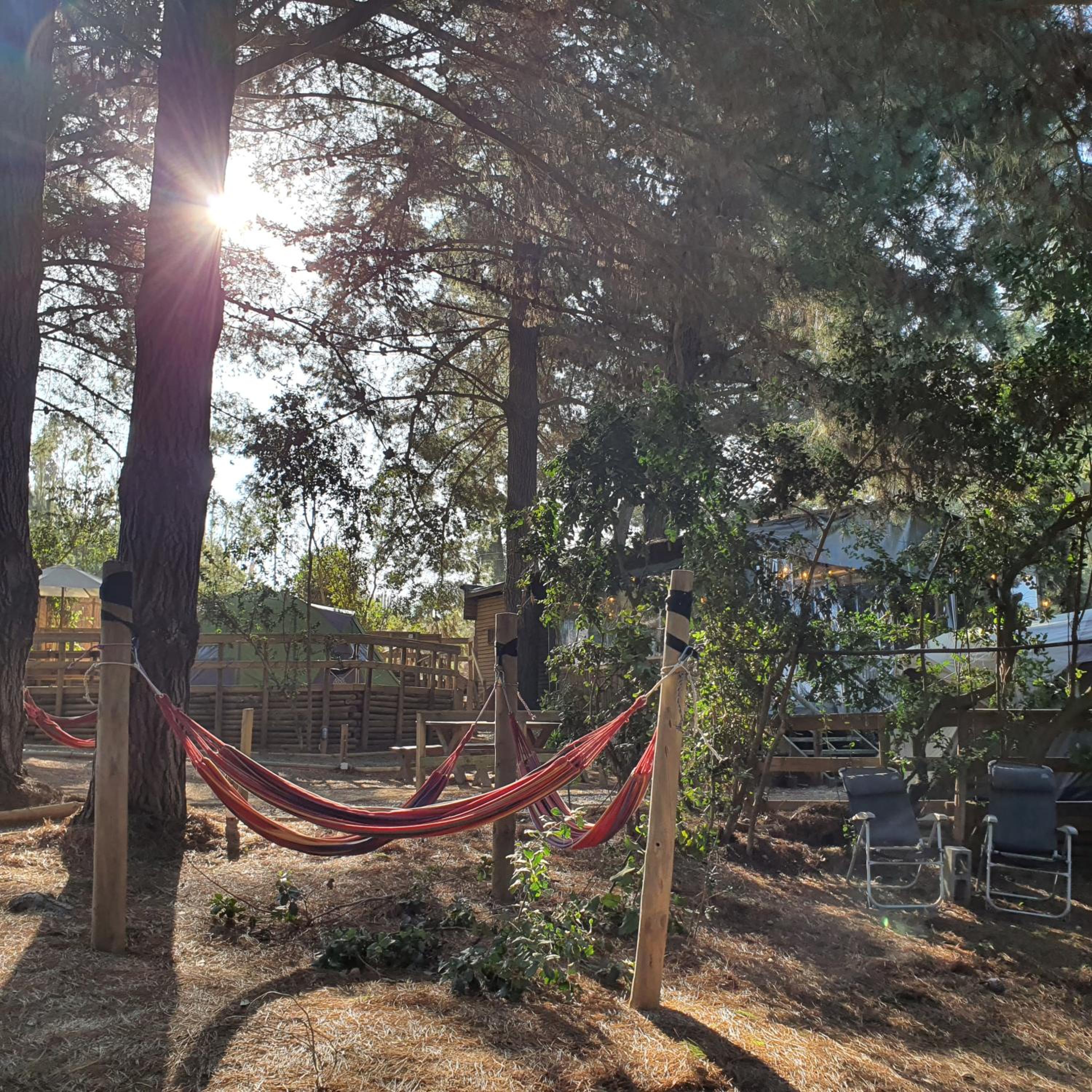 Glamping Puertecillo Surf & Camp