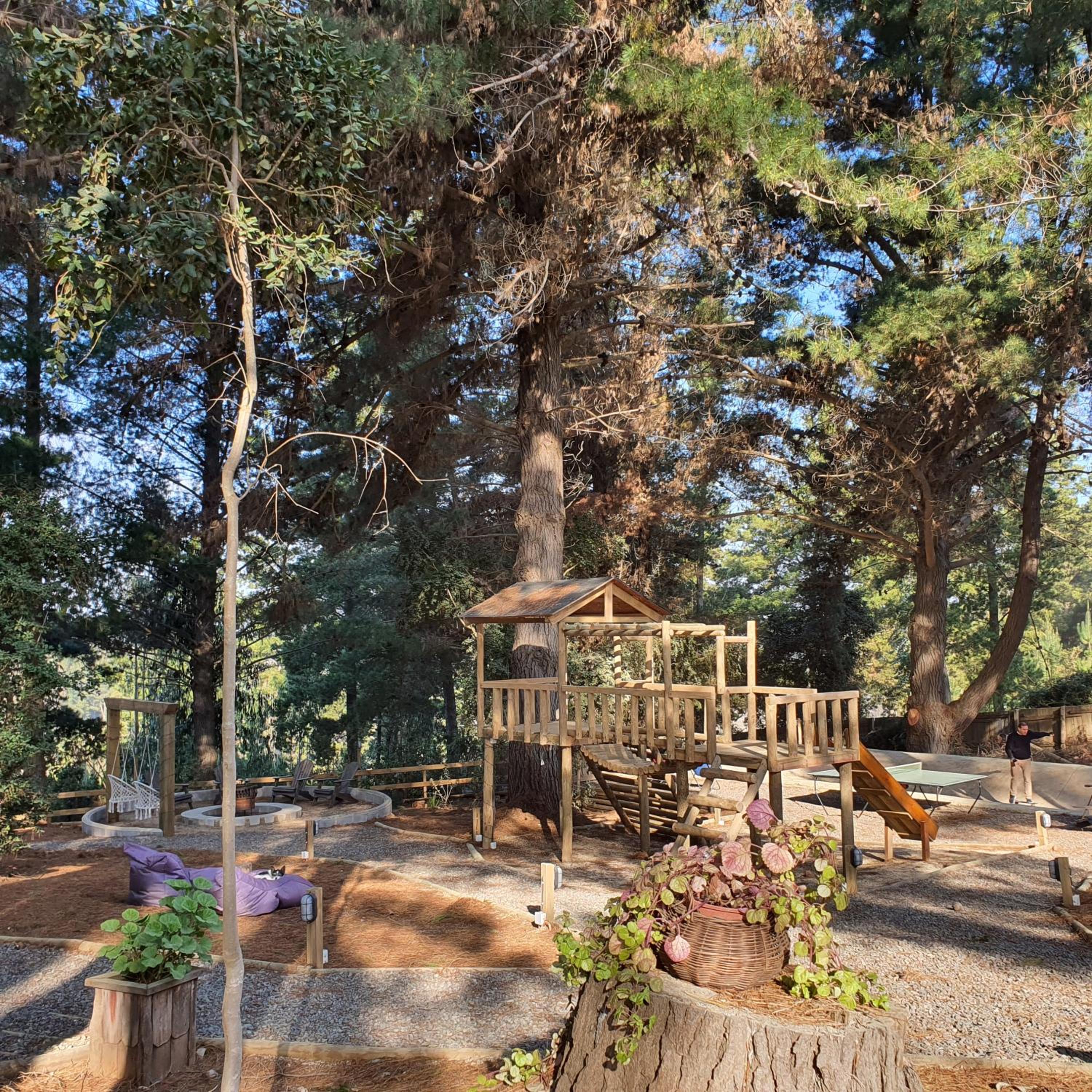 Glamping Puertecillo Surf & Camp
