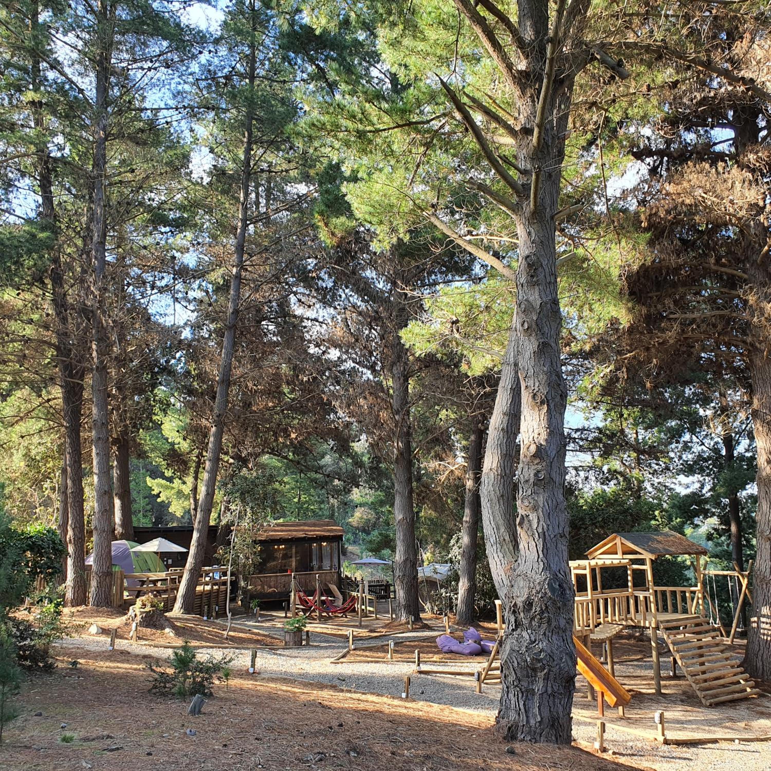 Glamping Puertecillo Surf & Camp
