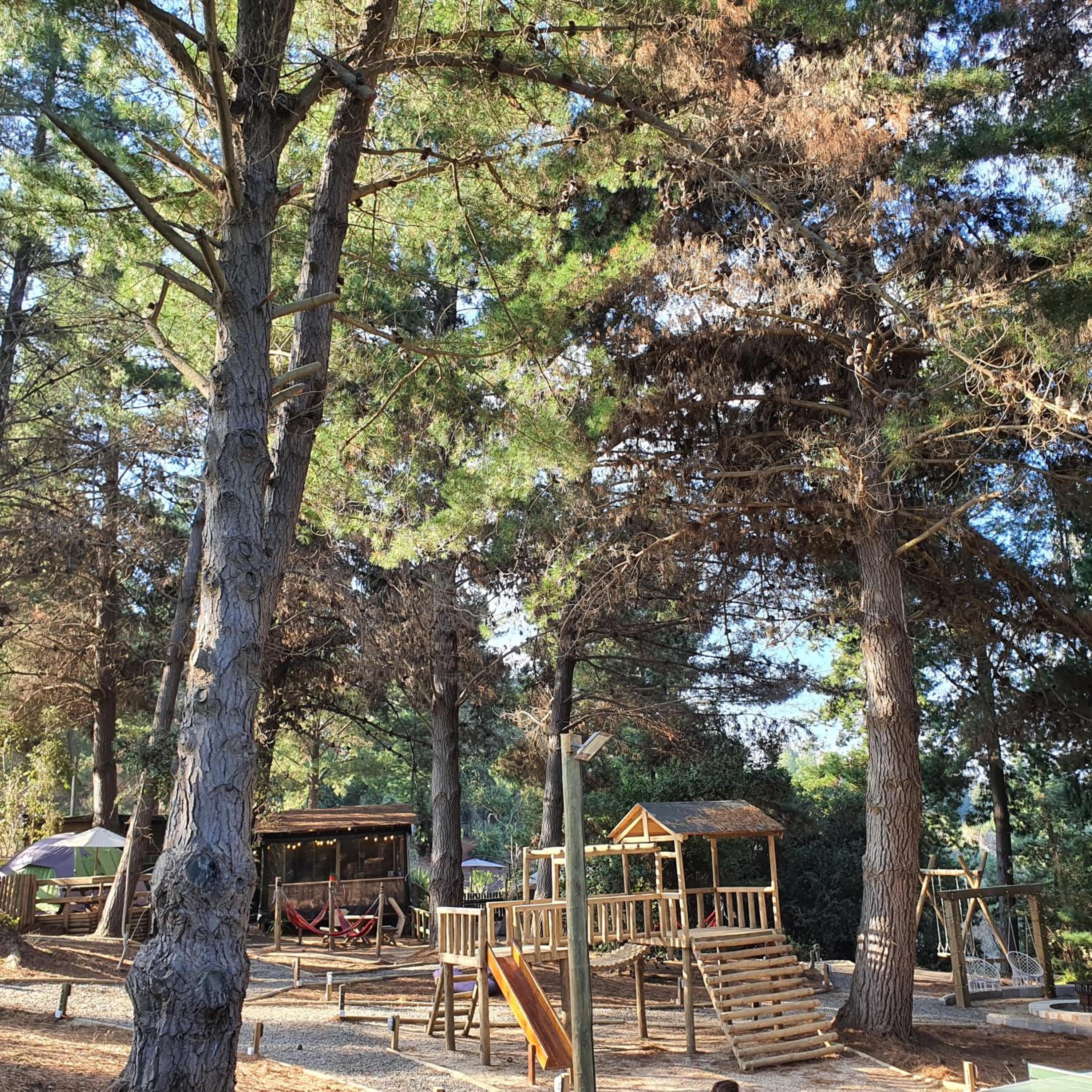Glamping Puertecillo Surf & Camp