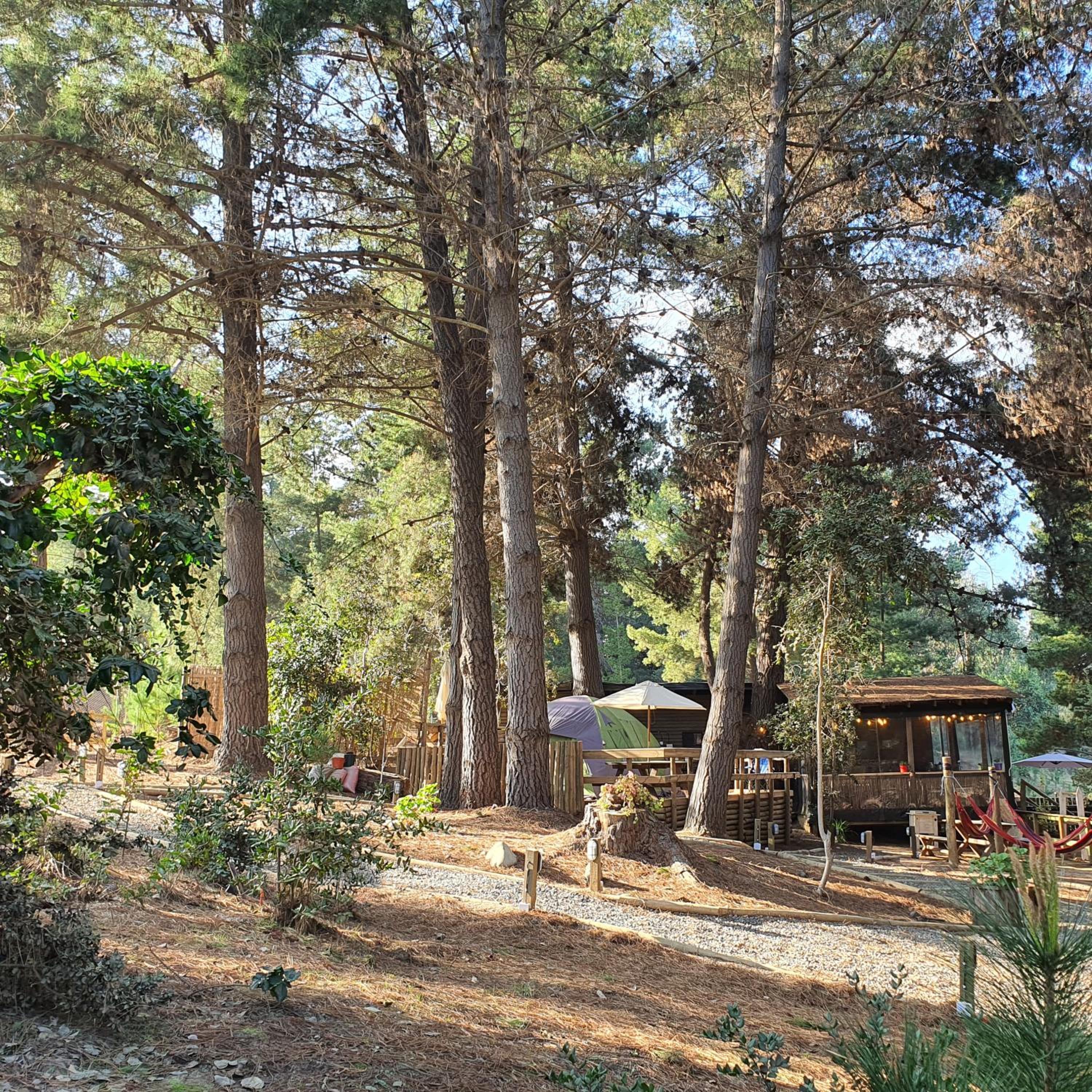 Glamping Puertecillo Surf & Camp