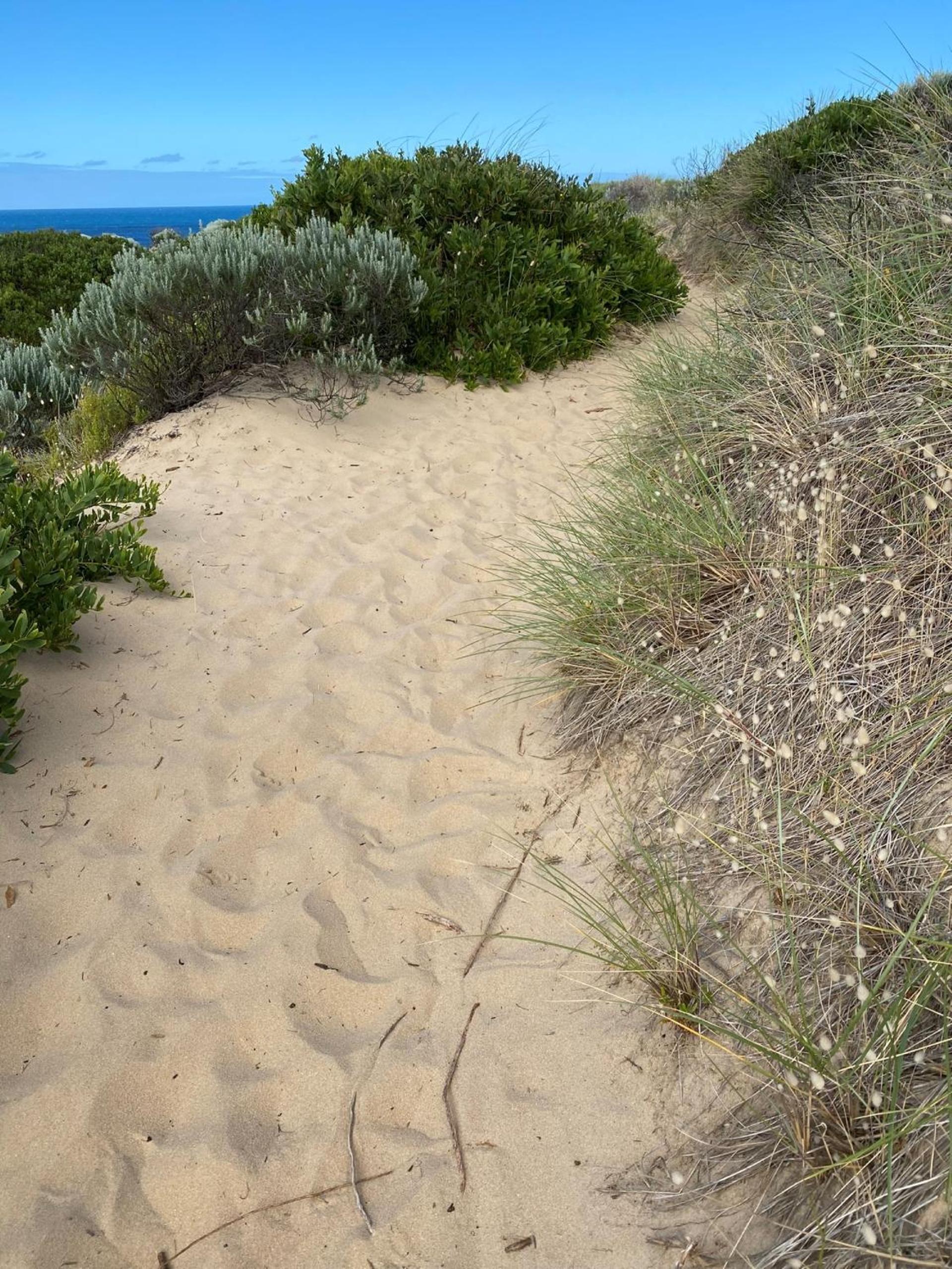 Beachfront at Cape Paterson