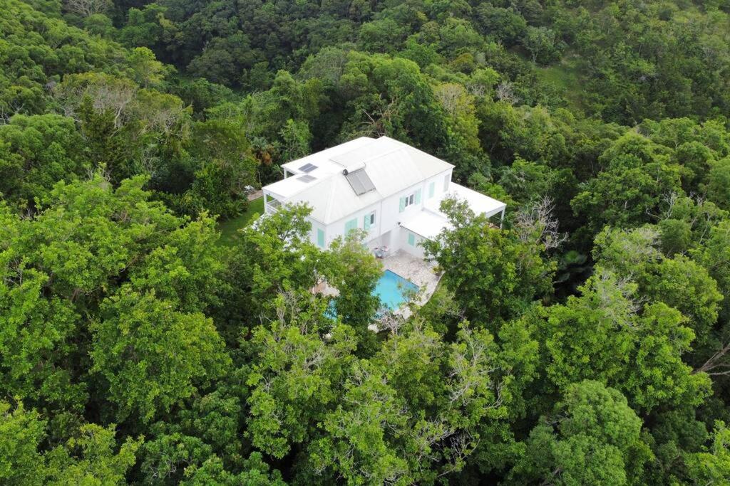 Paganahouse