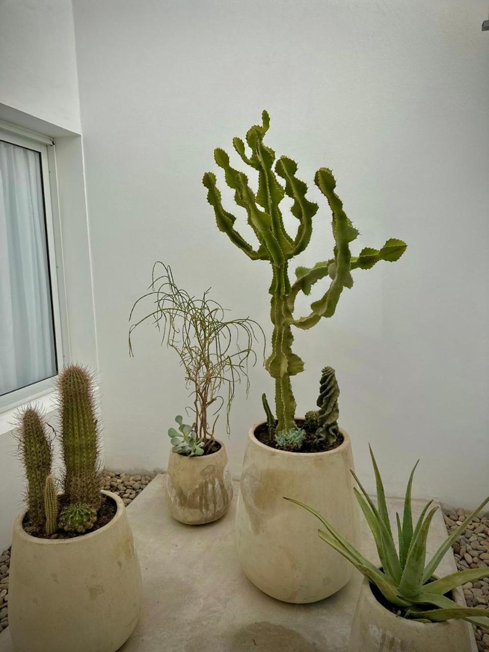 LA MACARENA, Casa de Huespedes