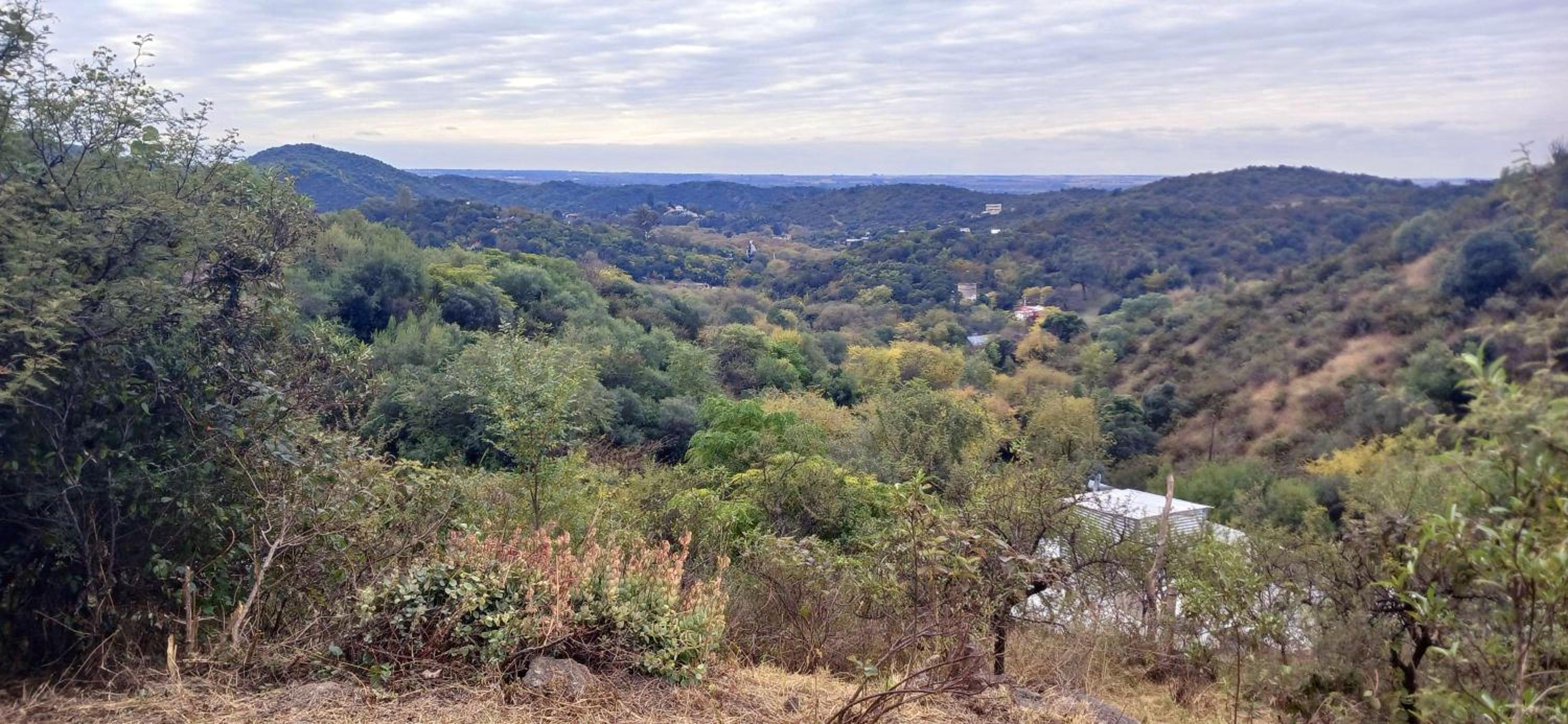 Bosque de estrellas Eco-lodge