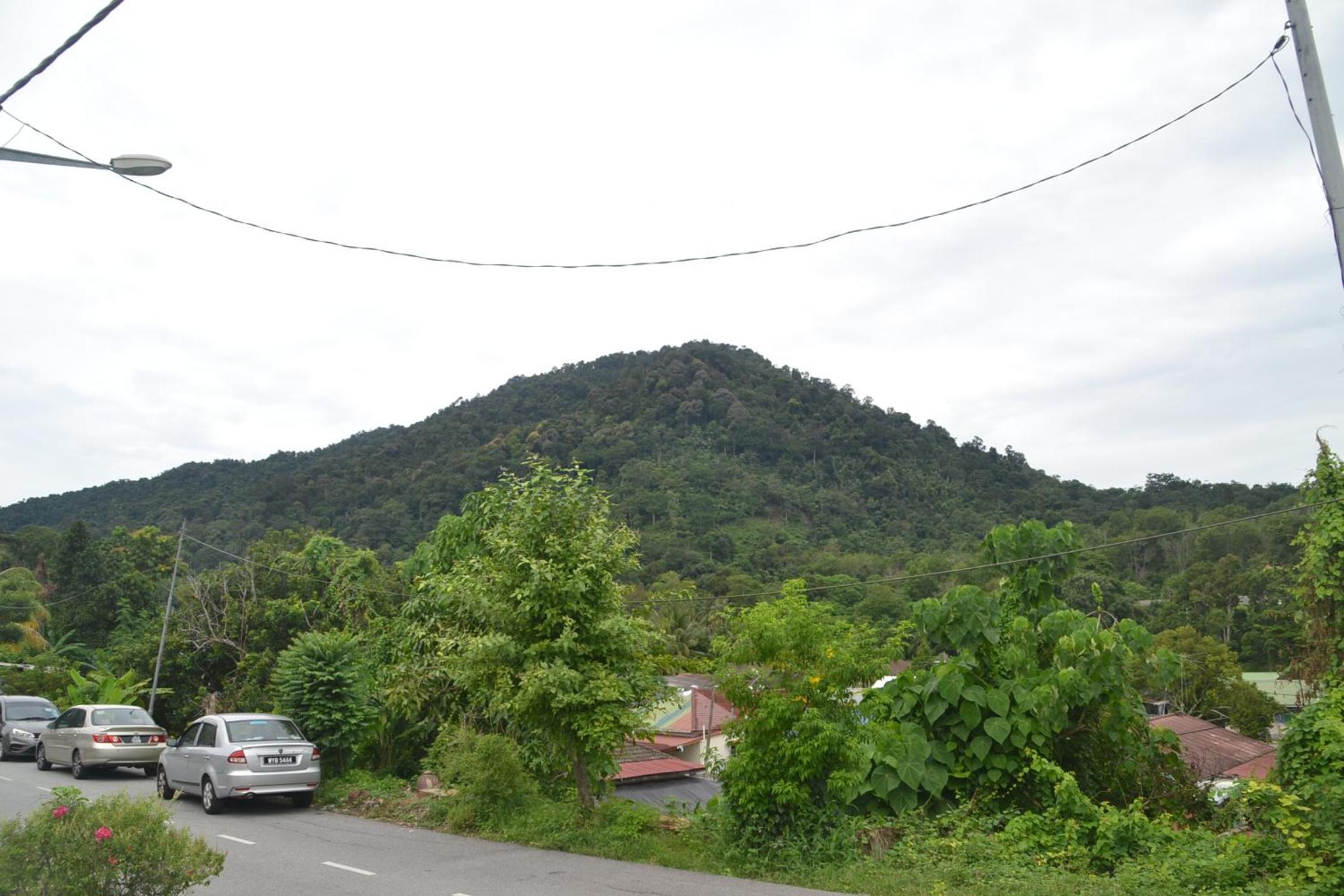Yim's Homestay photo 6