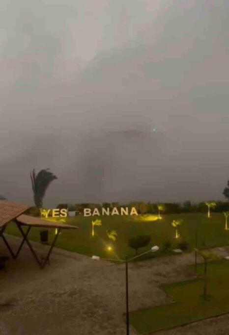 LD House- Bananeiras