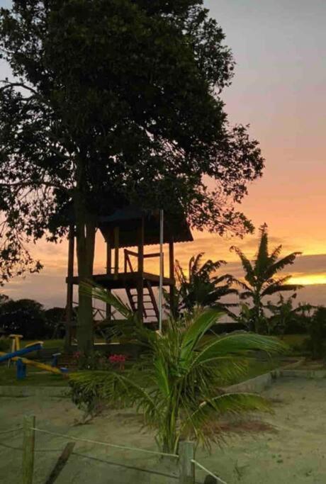 LD House- Bananeiras