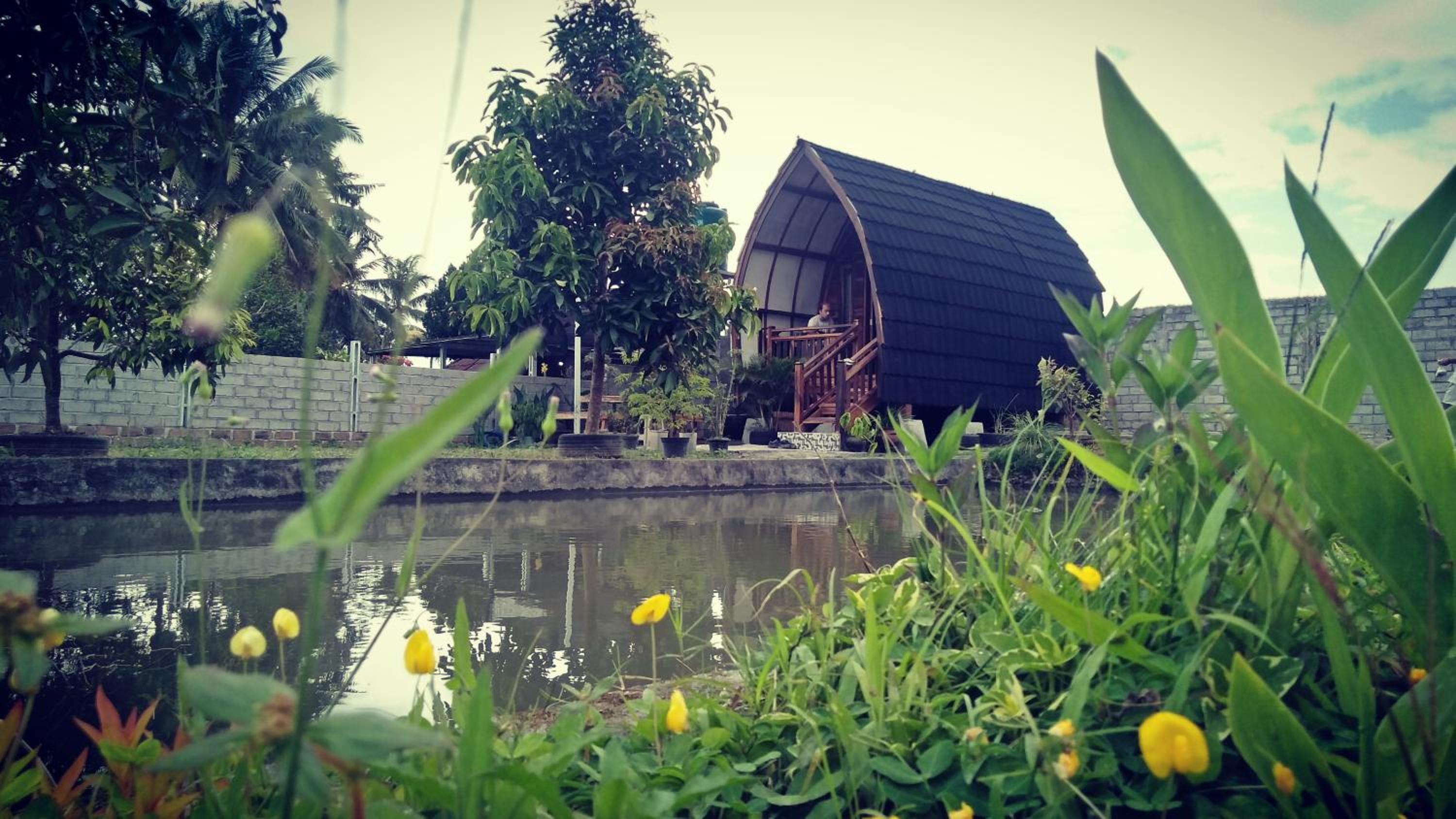 Photo 46