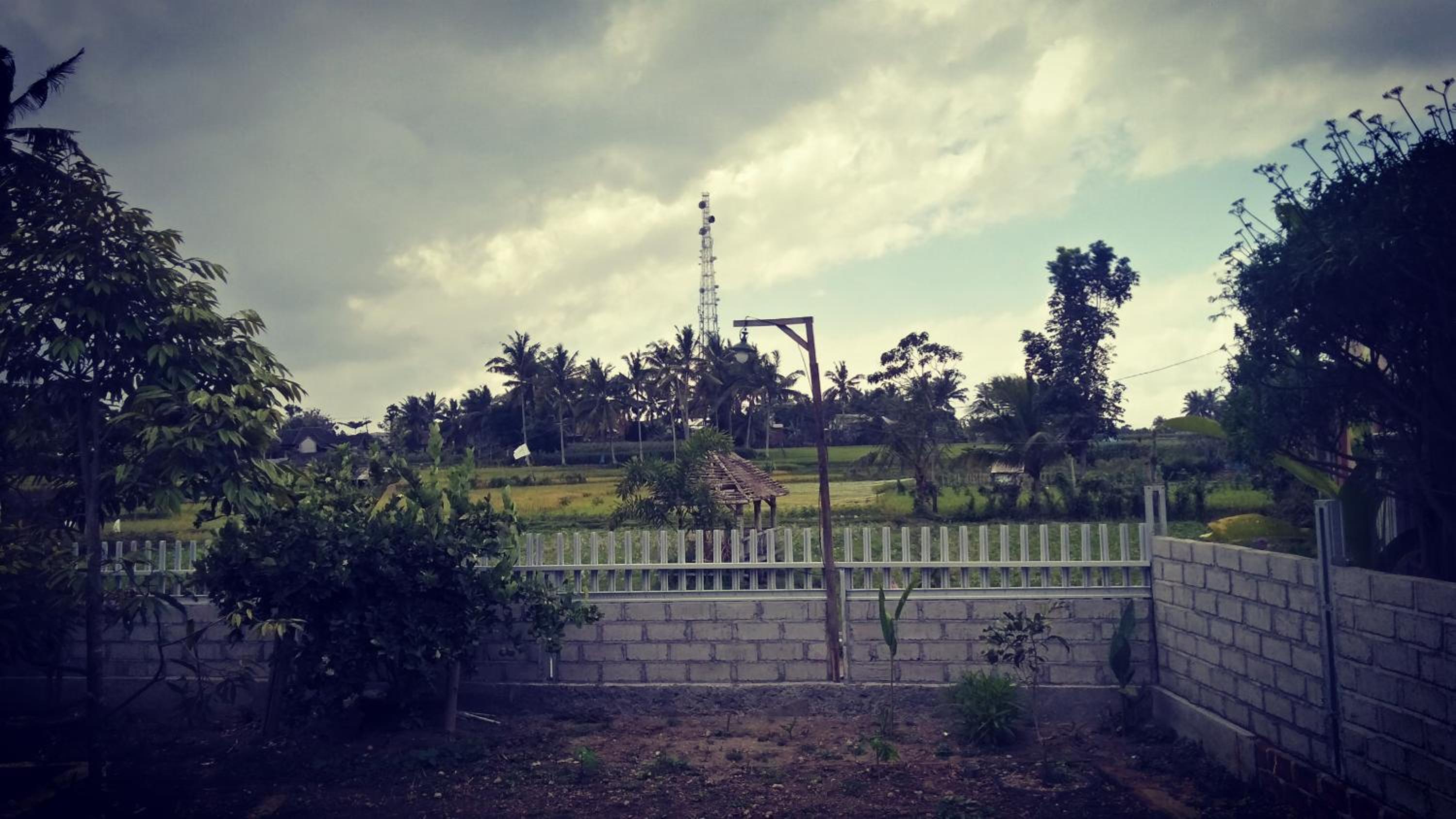 Photo 48