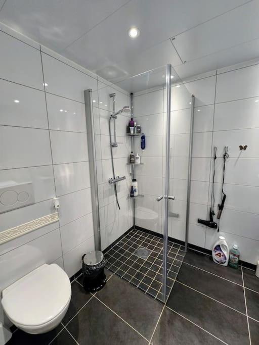 Modern and sentral penthouse view 5