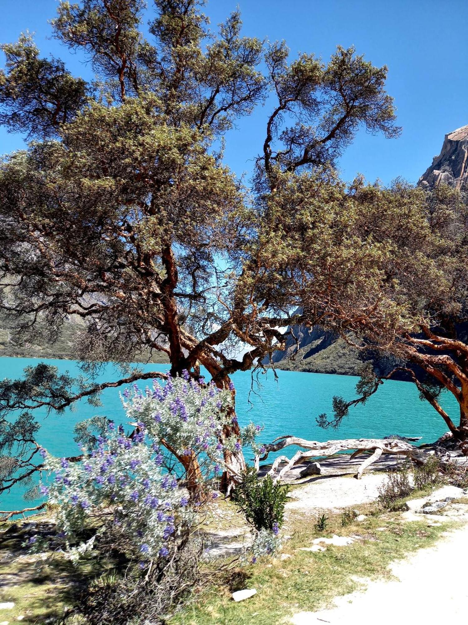 Photo 28