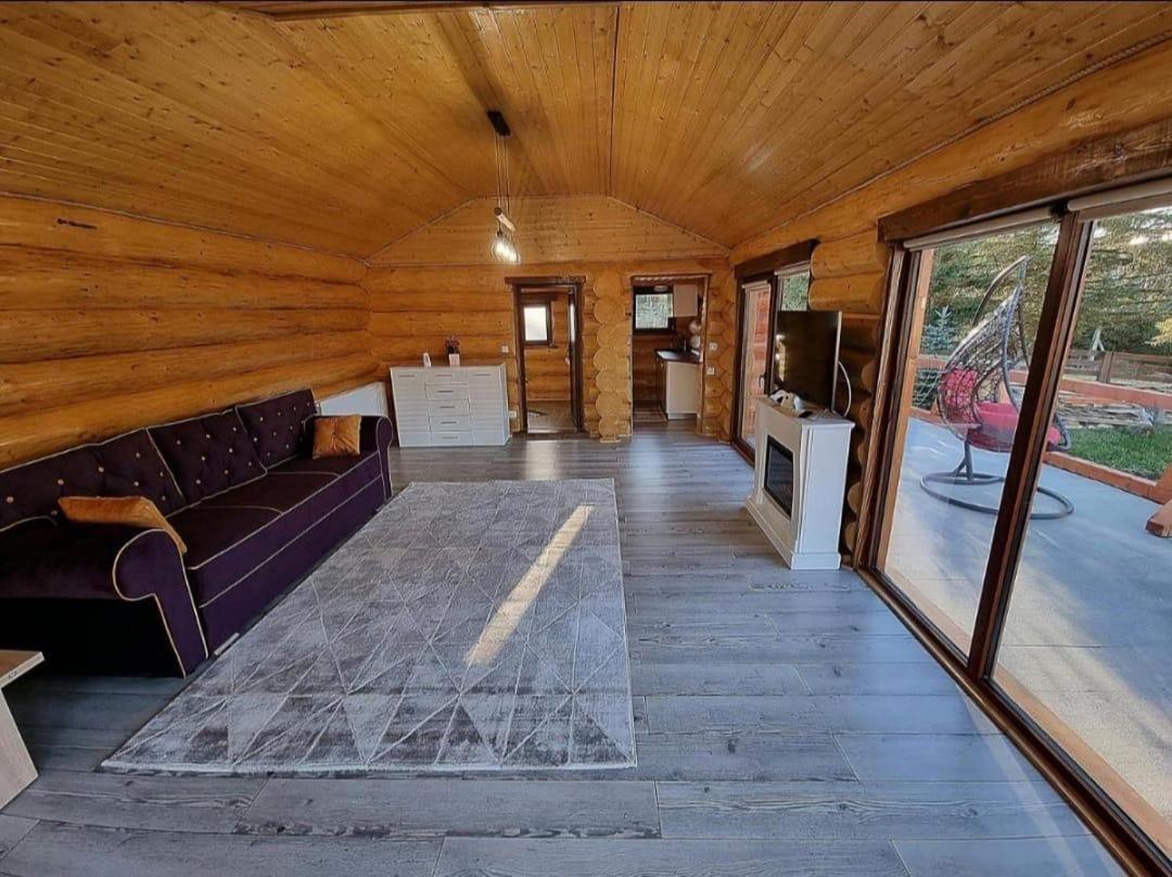 Casa Dragomir view 5