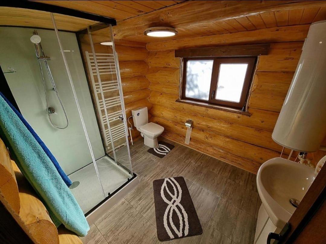 Casa Dragomir view 2