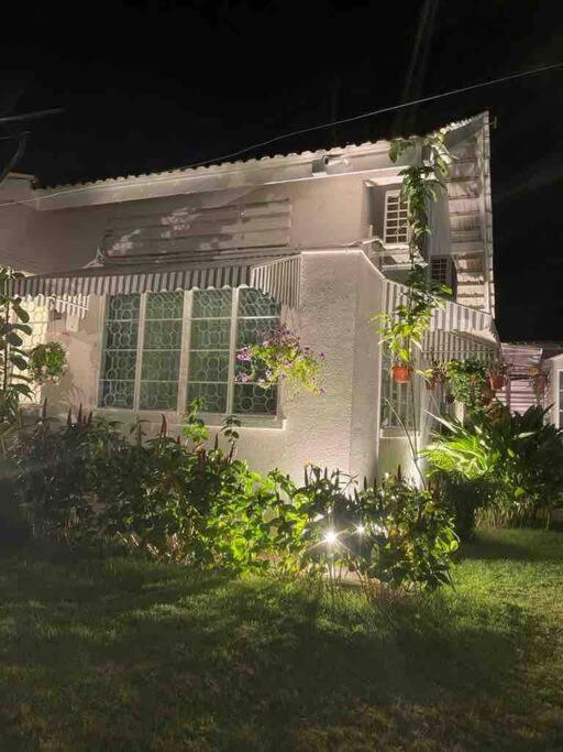 British Granny's Cottage in Georgetown view 2