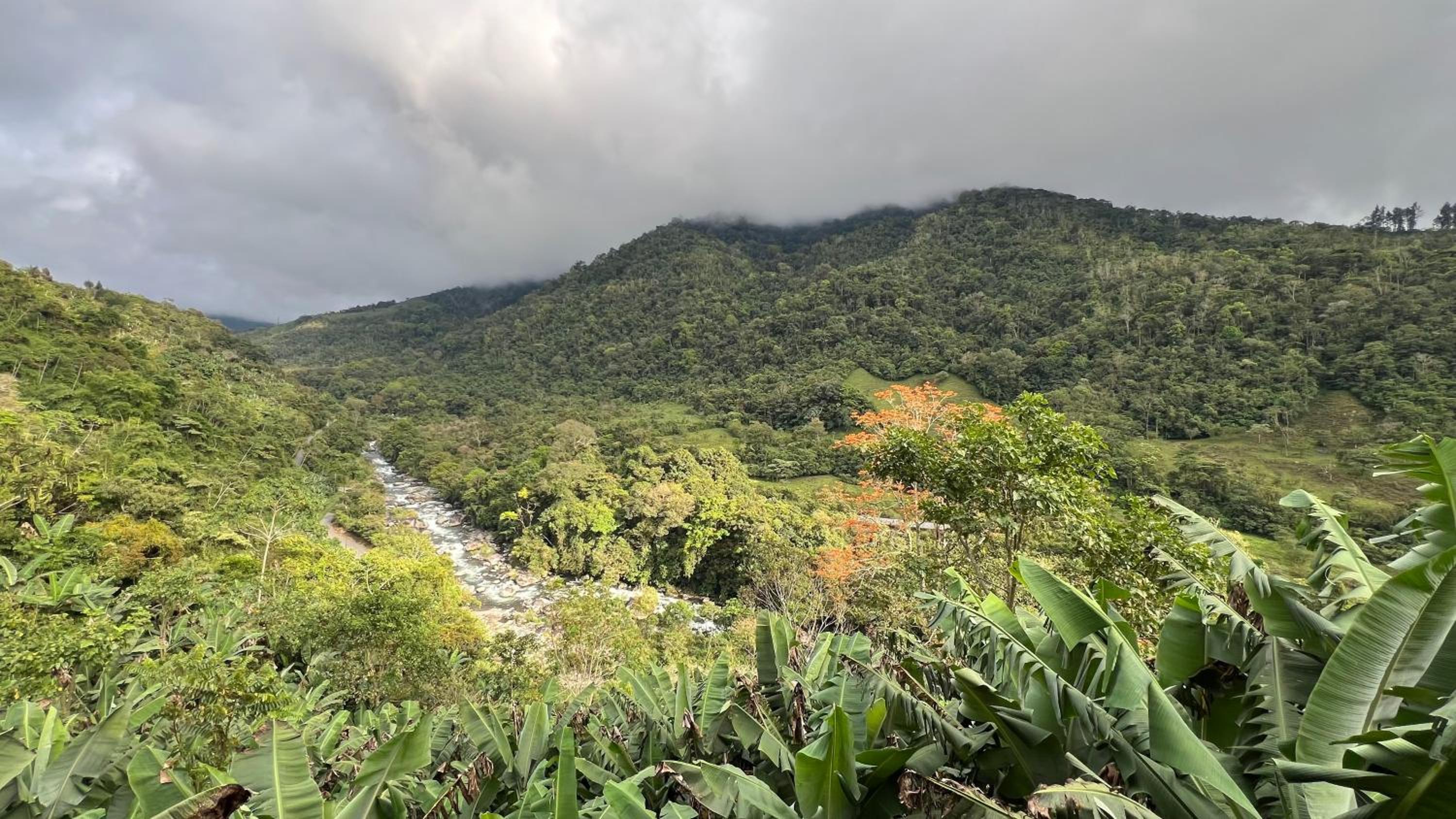 Chirripó Oasis