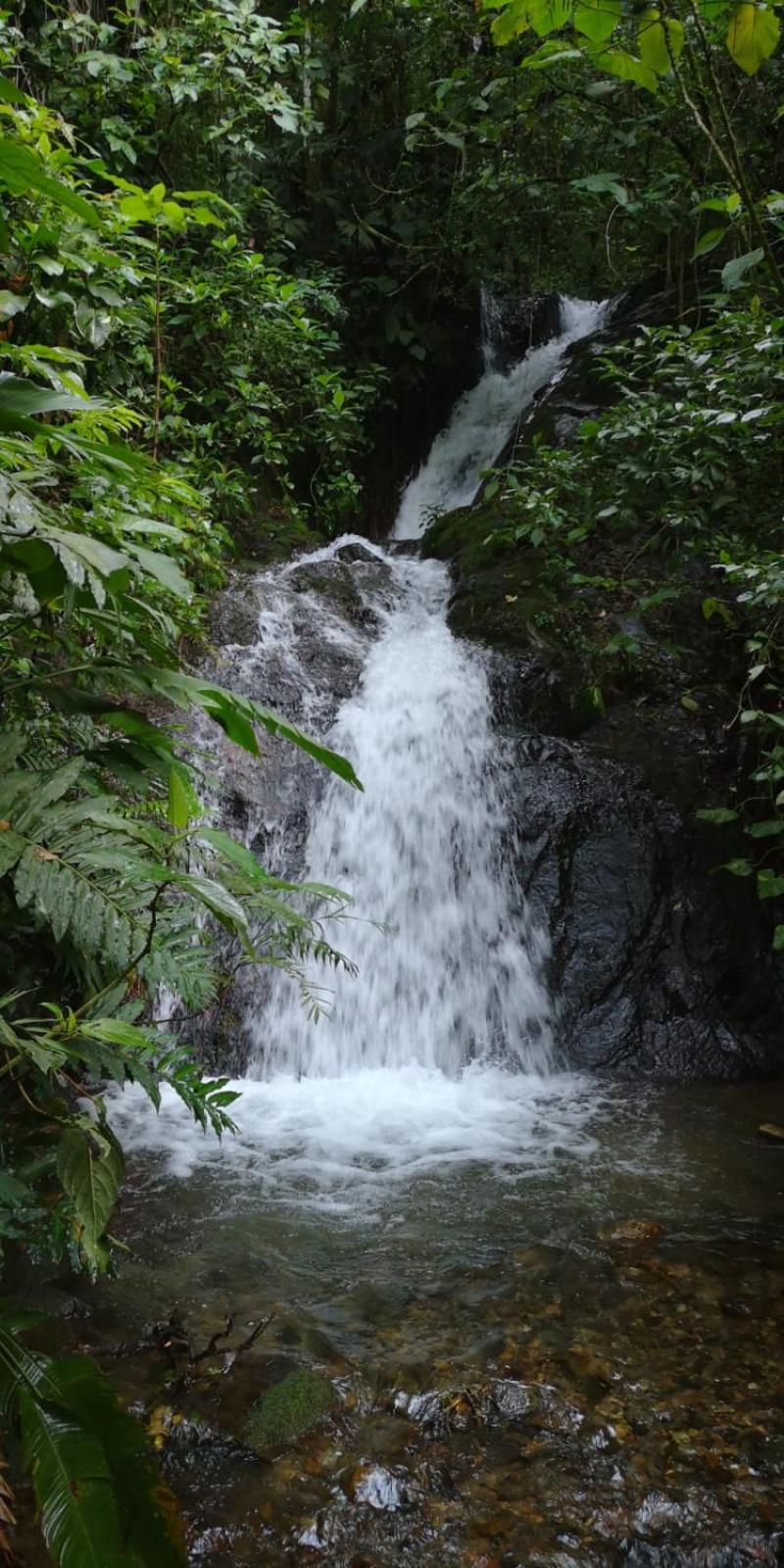 Chirripó Oasis