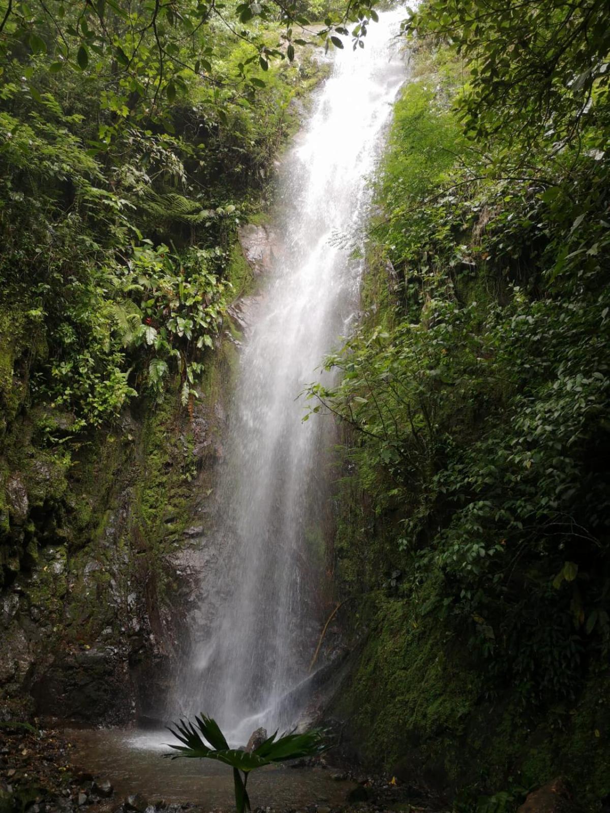 Chirripó Oasis