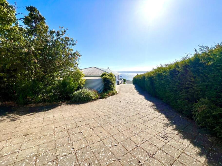 Cactus- Spectacular Views On The Ocean Front Pet friendly