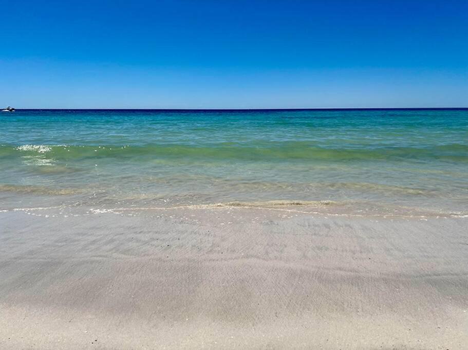 Cactus- Spectacular Views On The Ocean Front Pet friendly