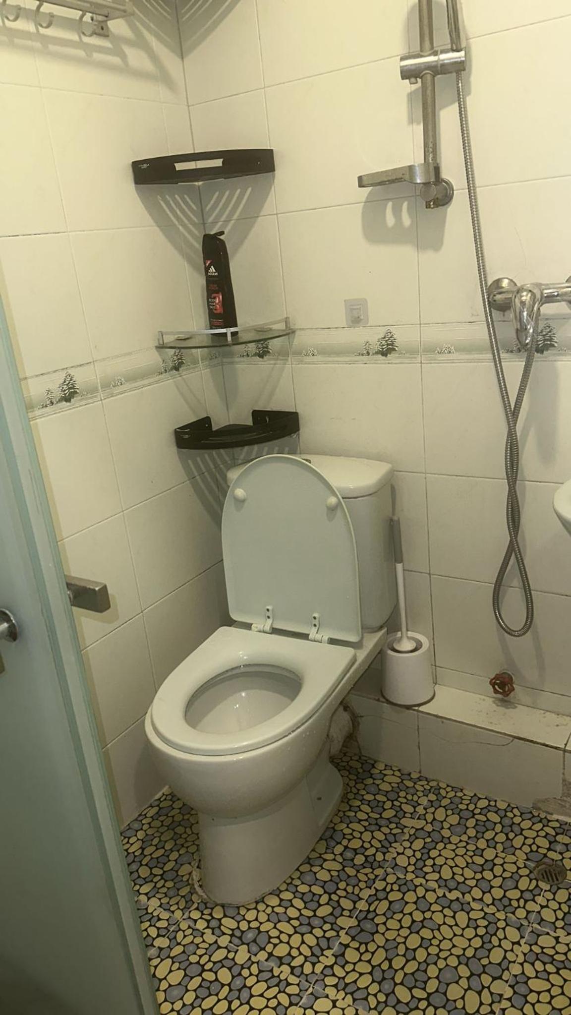 cebu hostel