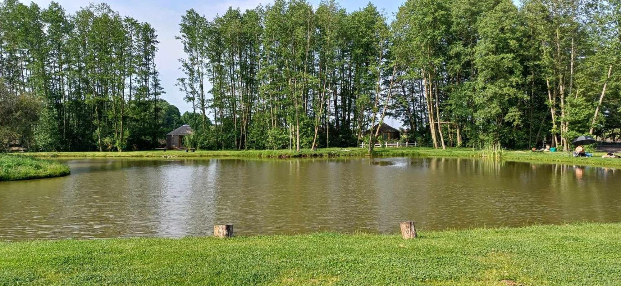 FORGLAMP, photo 29