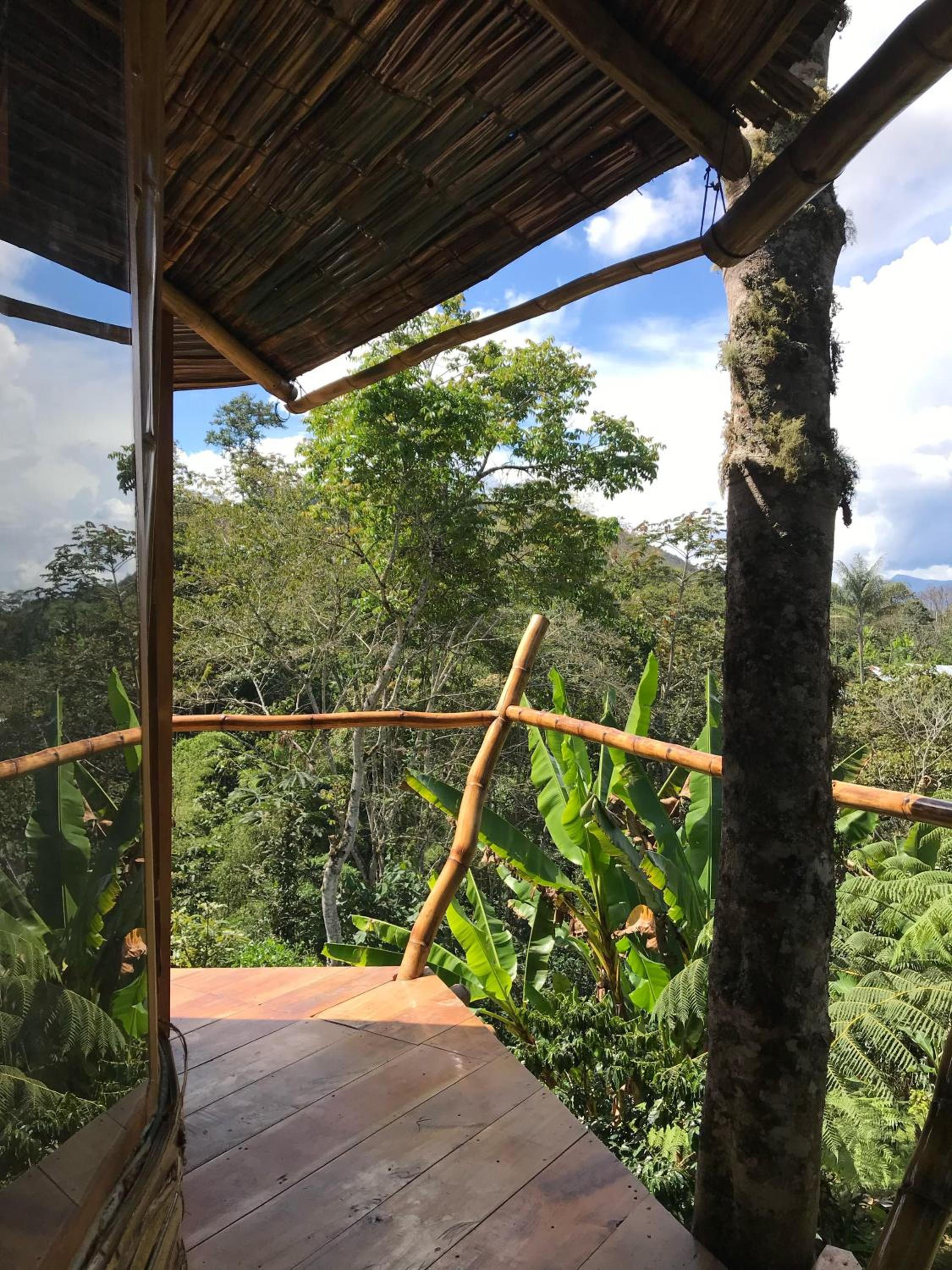 Finca La Colpia view 3