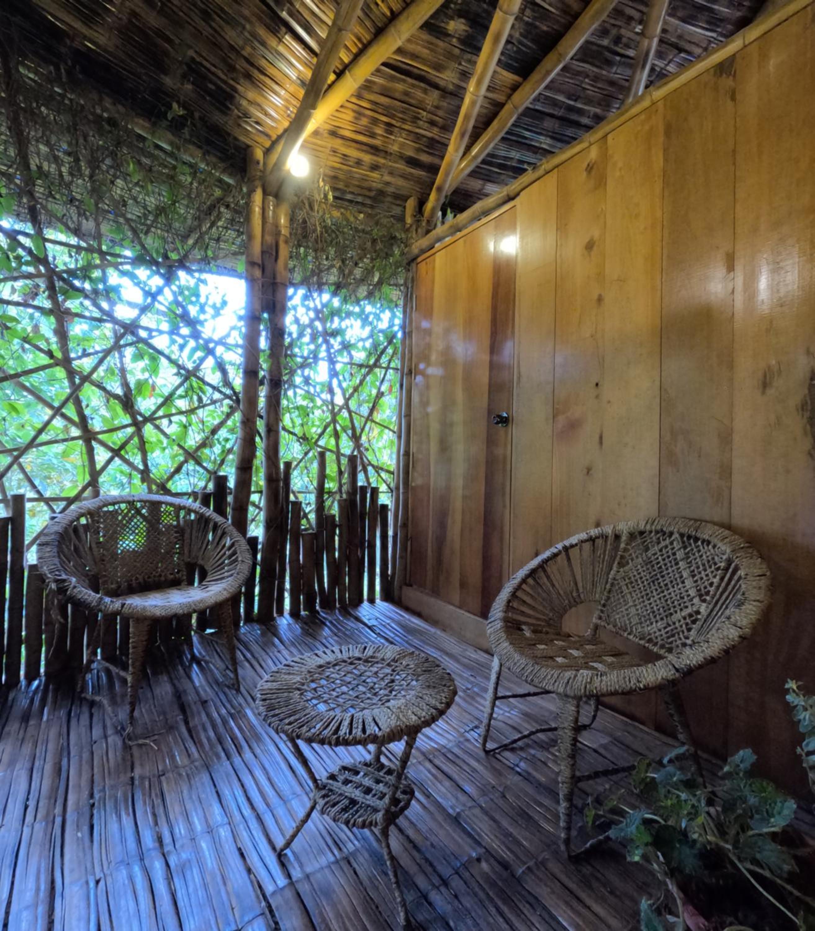 Finca La Colpia view 5