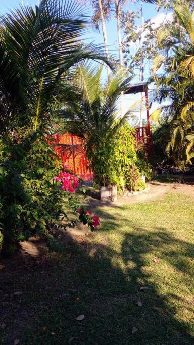 Photo 22