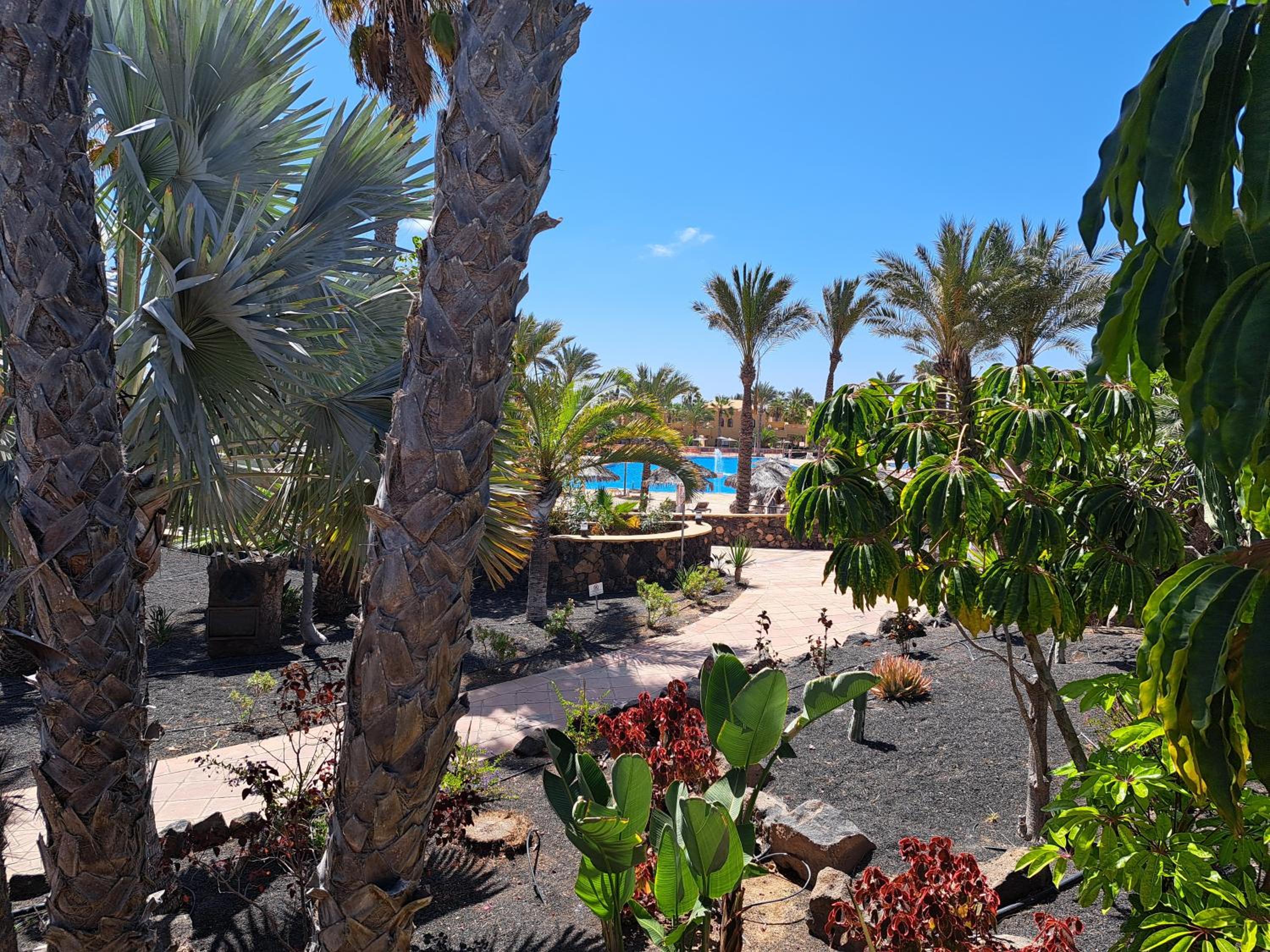 Casa Manba, terrace, pool and wifi photo 5